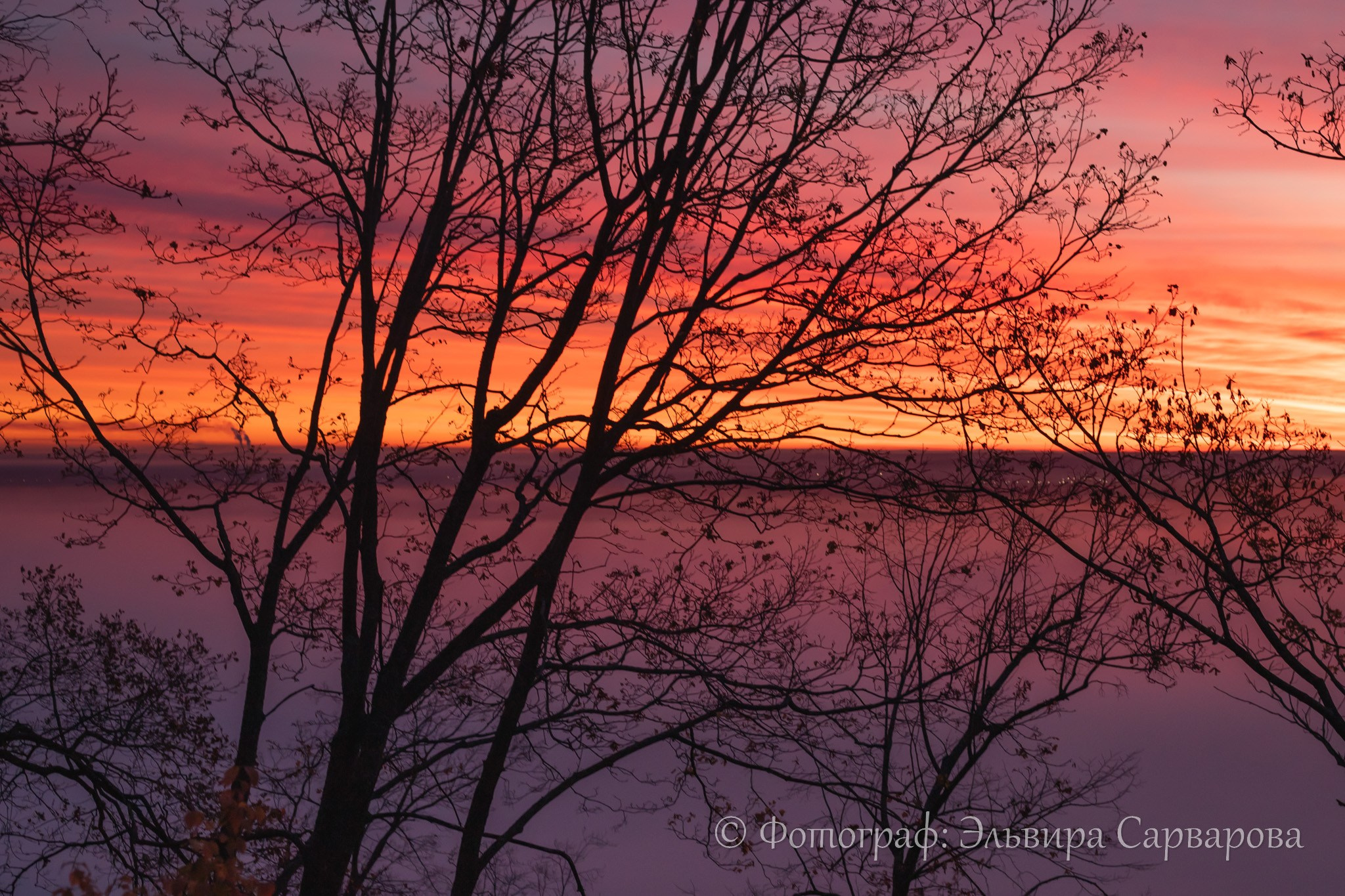Осенняя фотосессия. Репортажный Фотограф