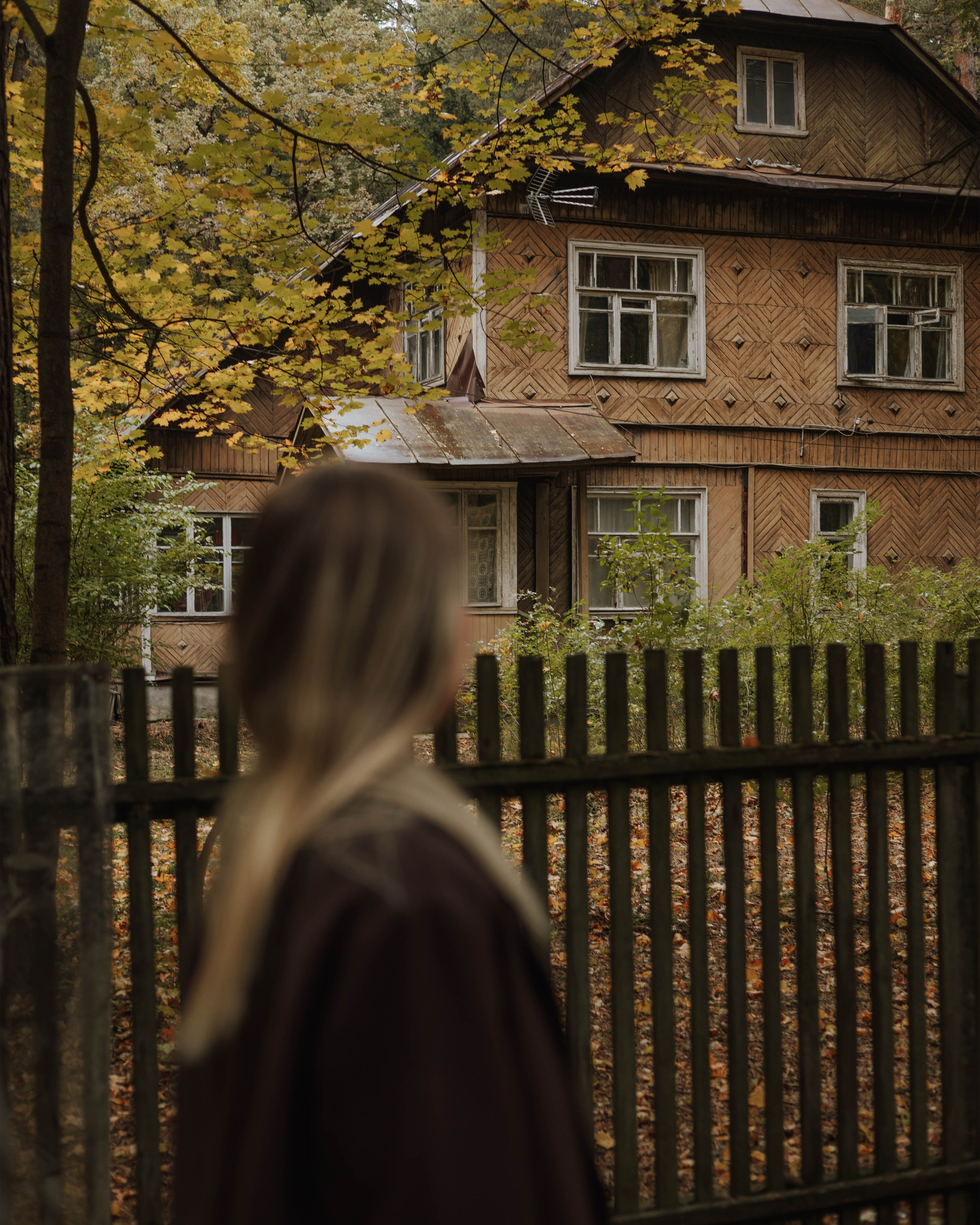 Ксения — Autumn Leaves. Индивидуальный фотограф в Москве