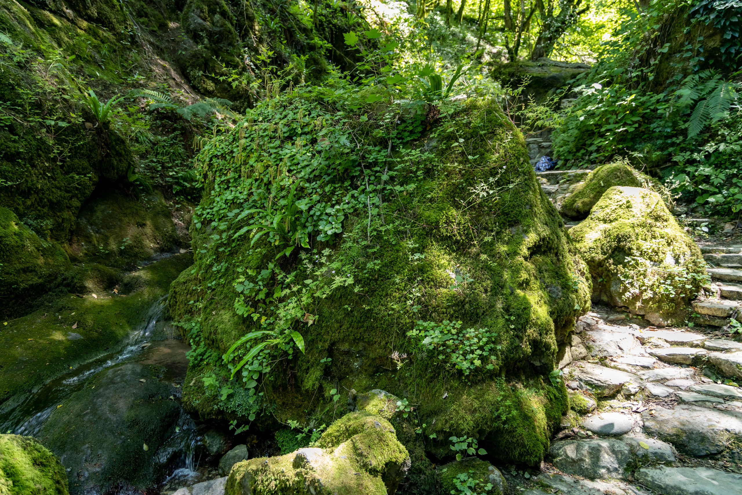 Сочи. Солох Аул. Репортажный, семейный и студийный фотограф в Москве Демин Алексей