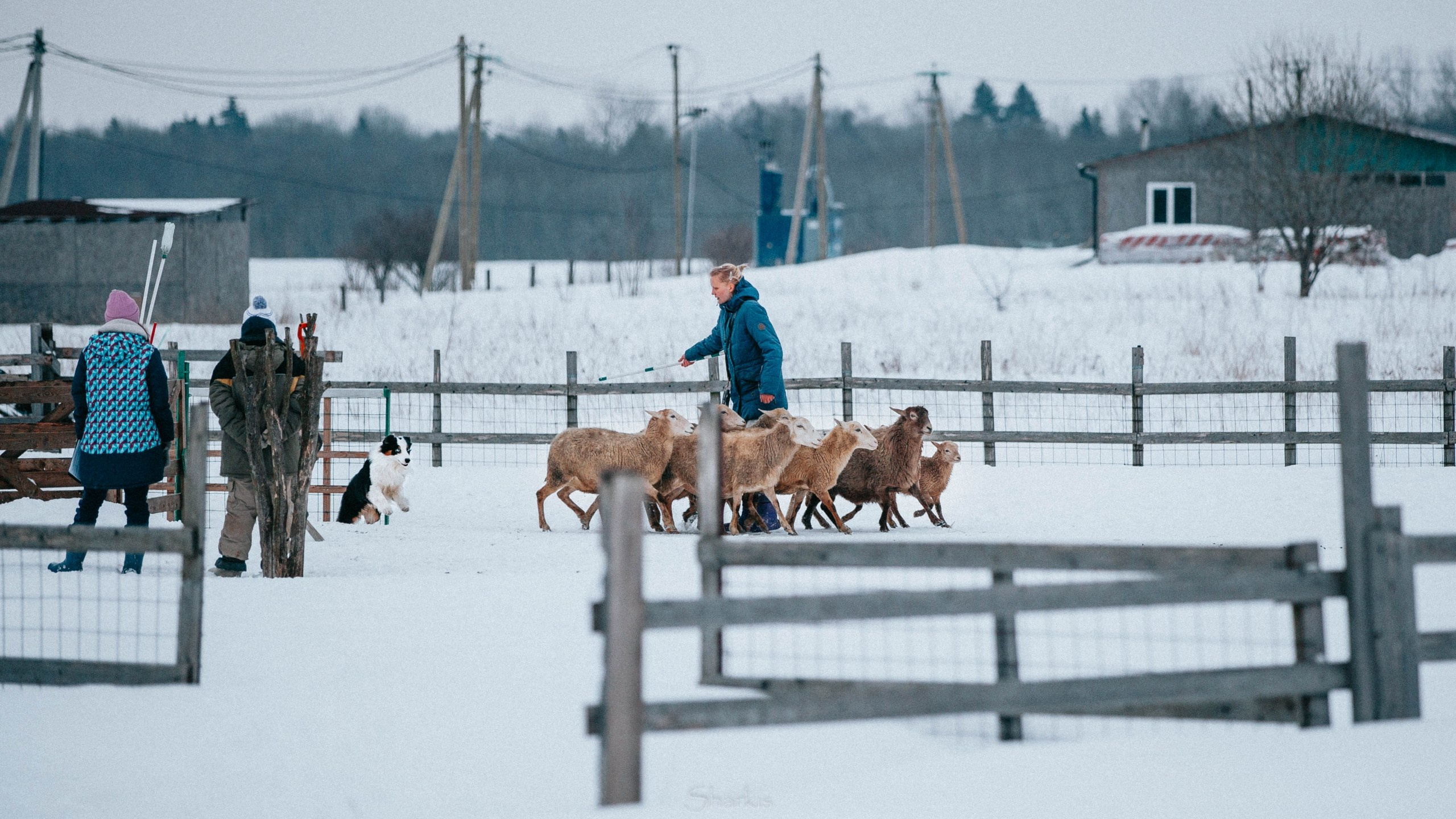 Гелий и Тсахик. Фотограф Елизавета Филатова