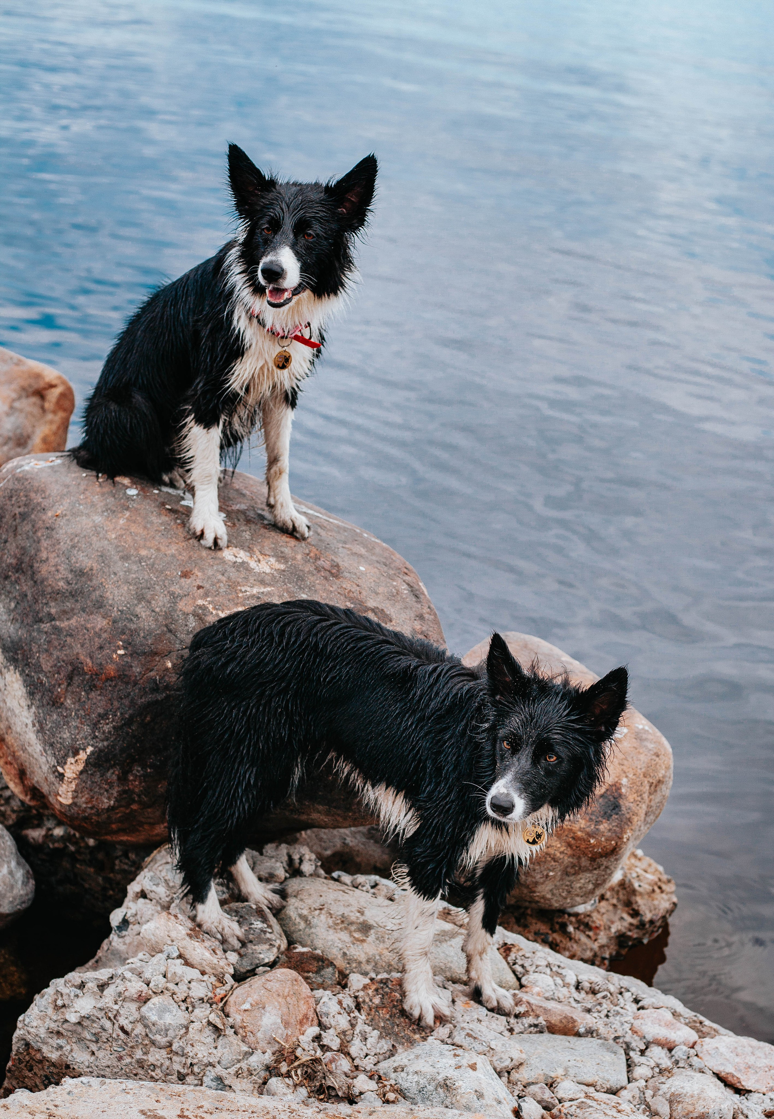 Кида и Сирша. Главная