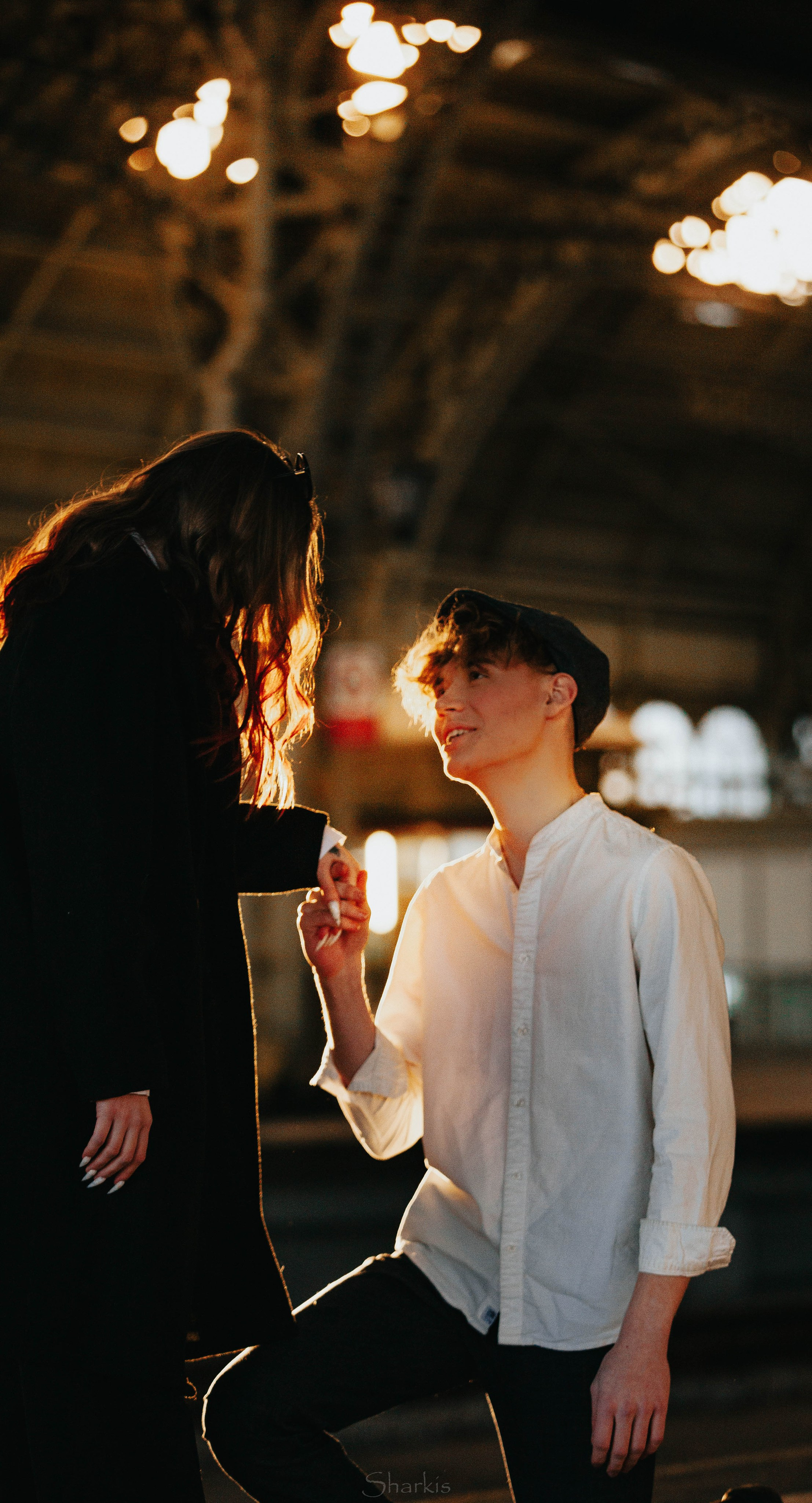 Лев и Вероника. Главная