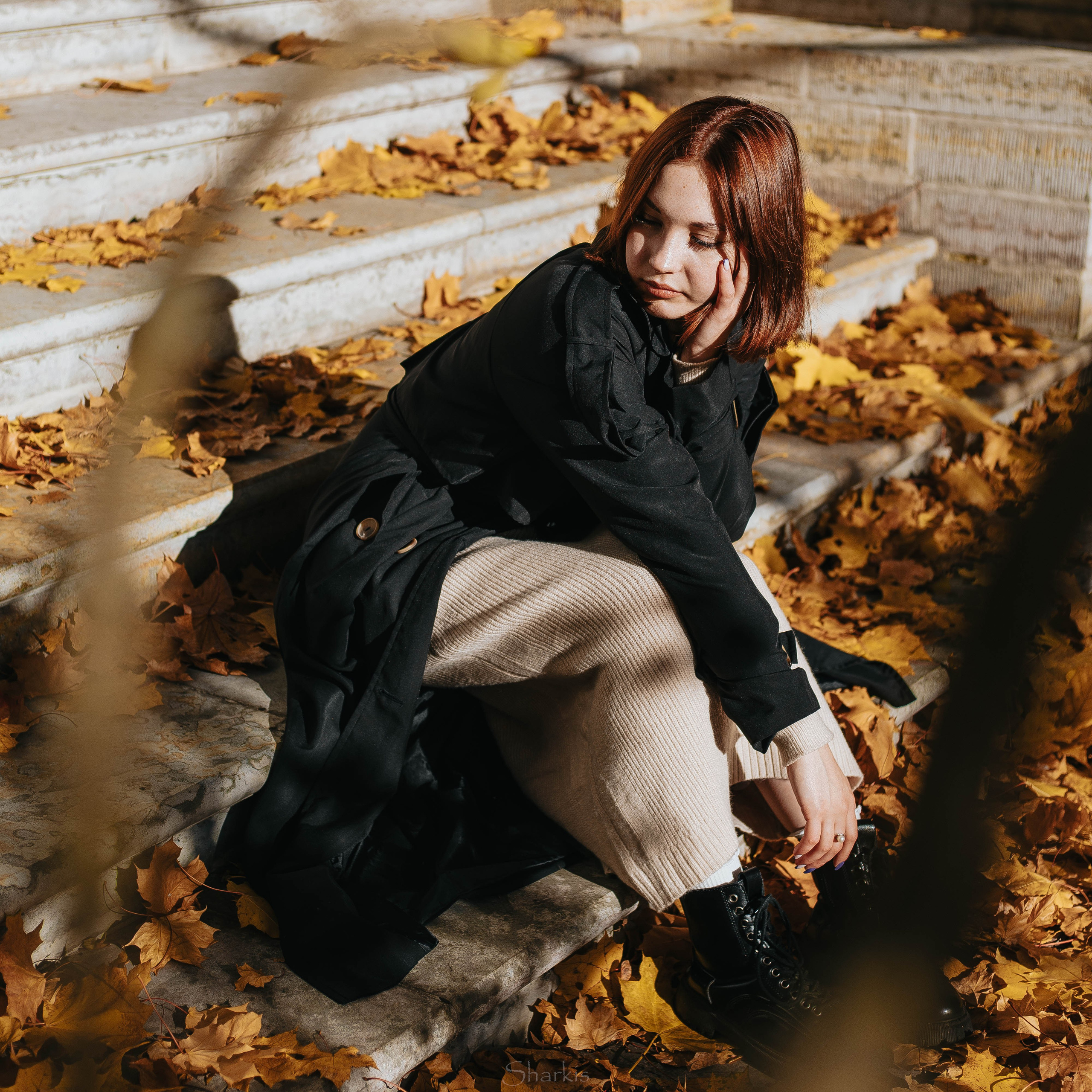 Света. Главная