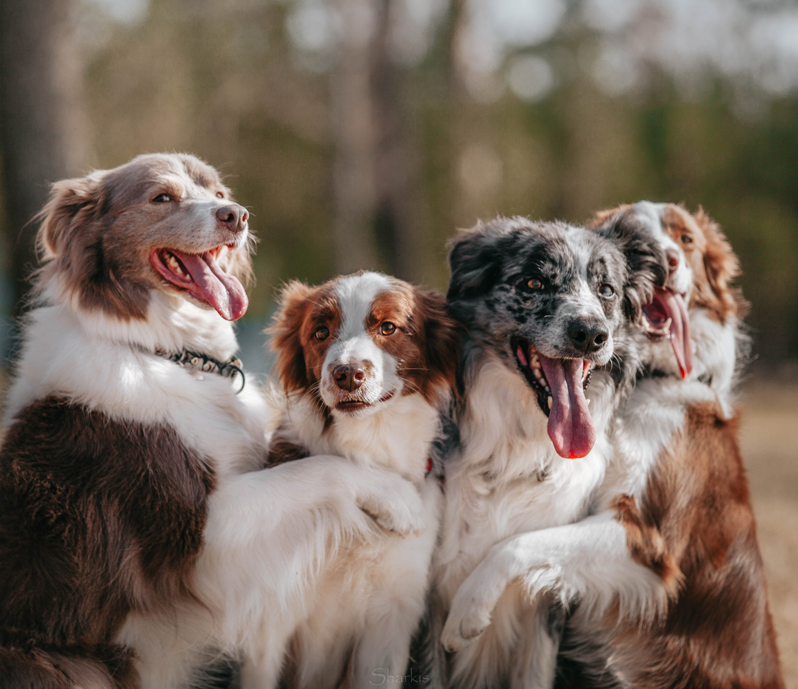 Бордюха, Лора, Берта, Мета. Главная