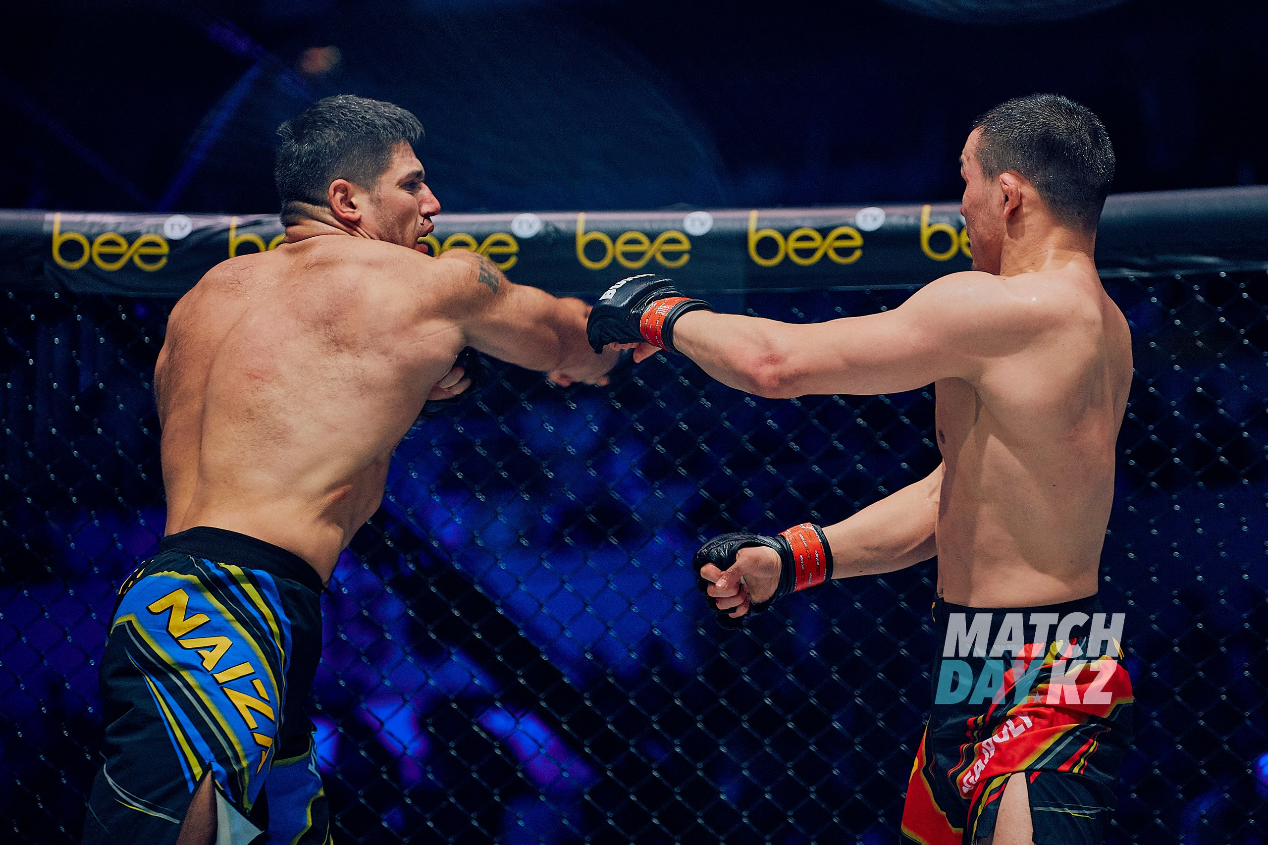 Naiza MMA (Astana) 6 December 2023. Professional photo & Event agency (Kazakhstan, Astana)