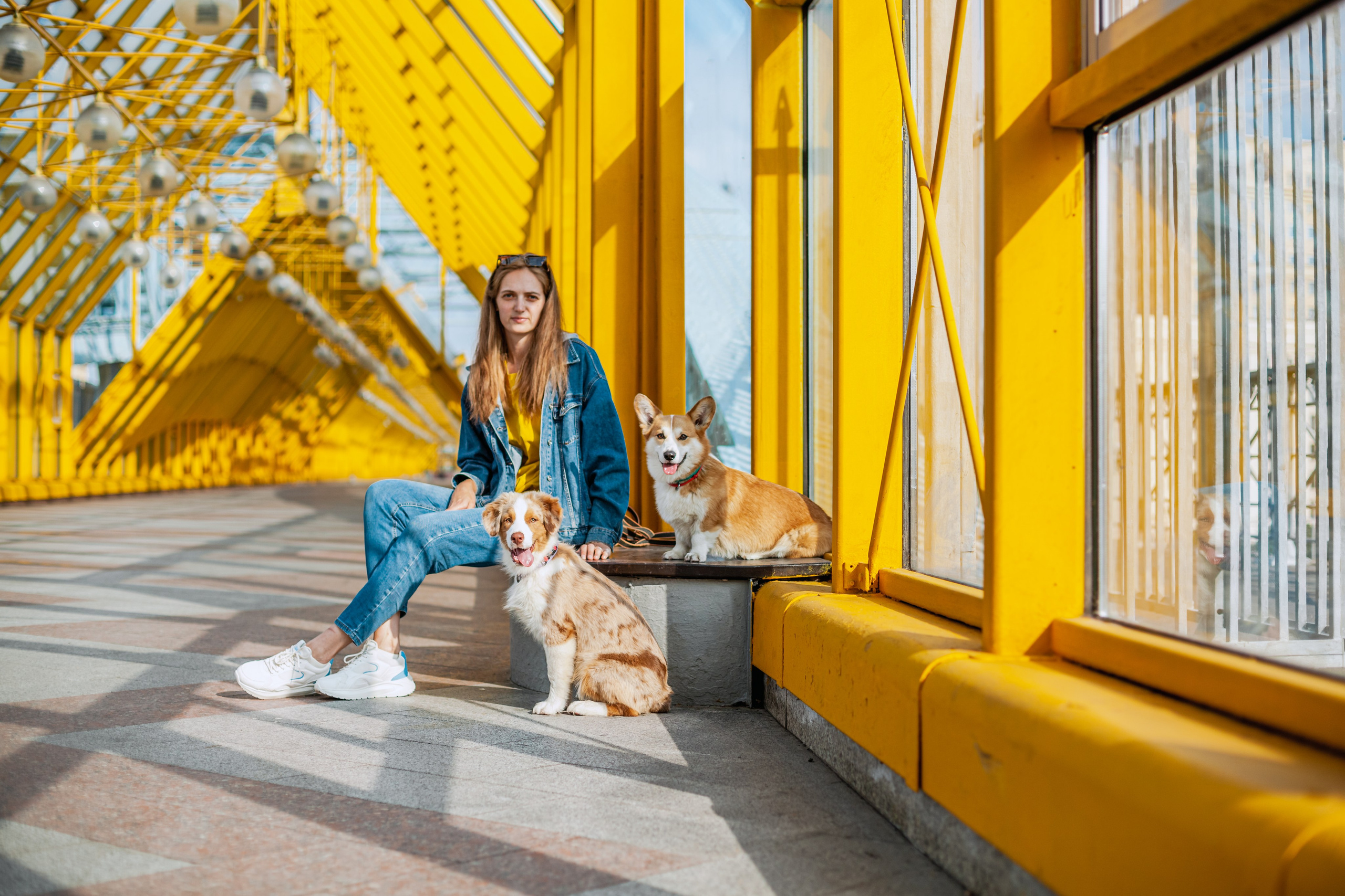 Андреевский мост. Фотограф-анималист Татьяна Степанова