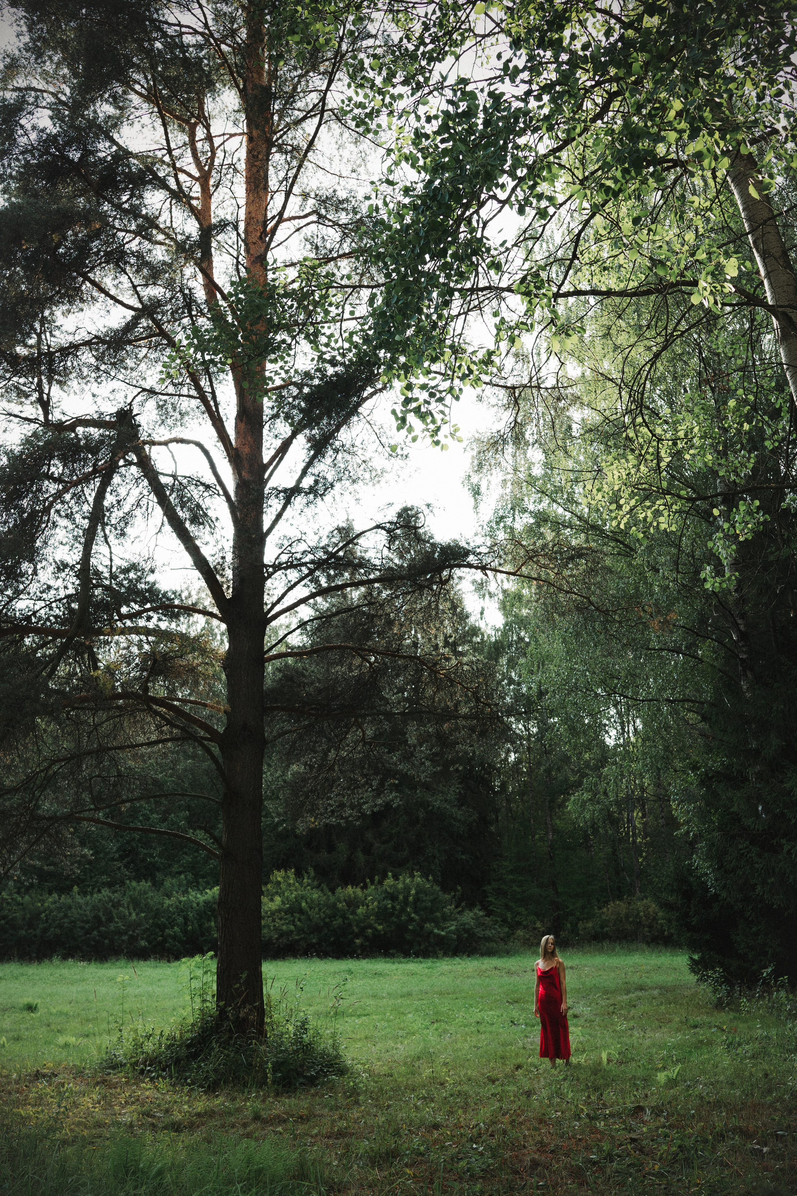 Лиза. Arina Chernykh