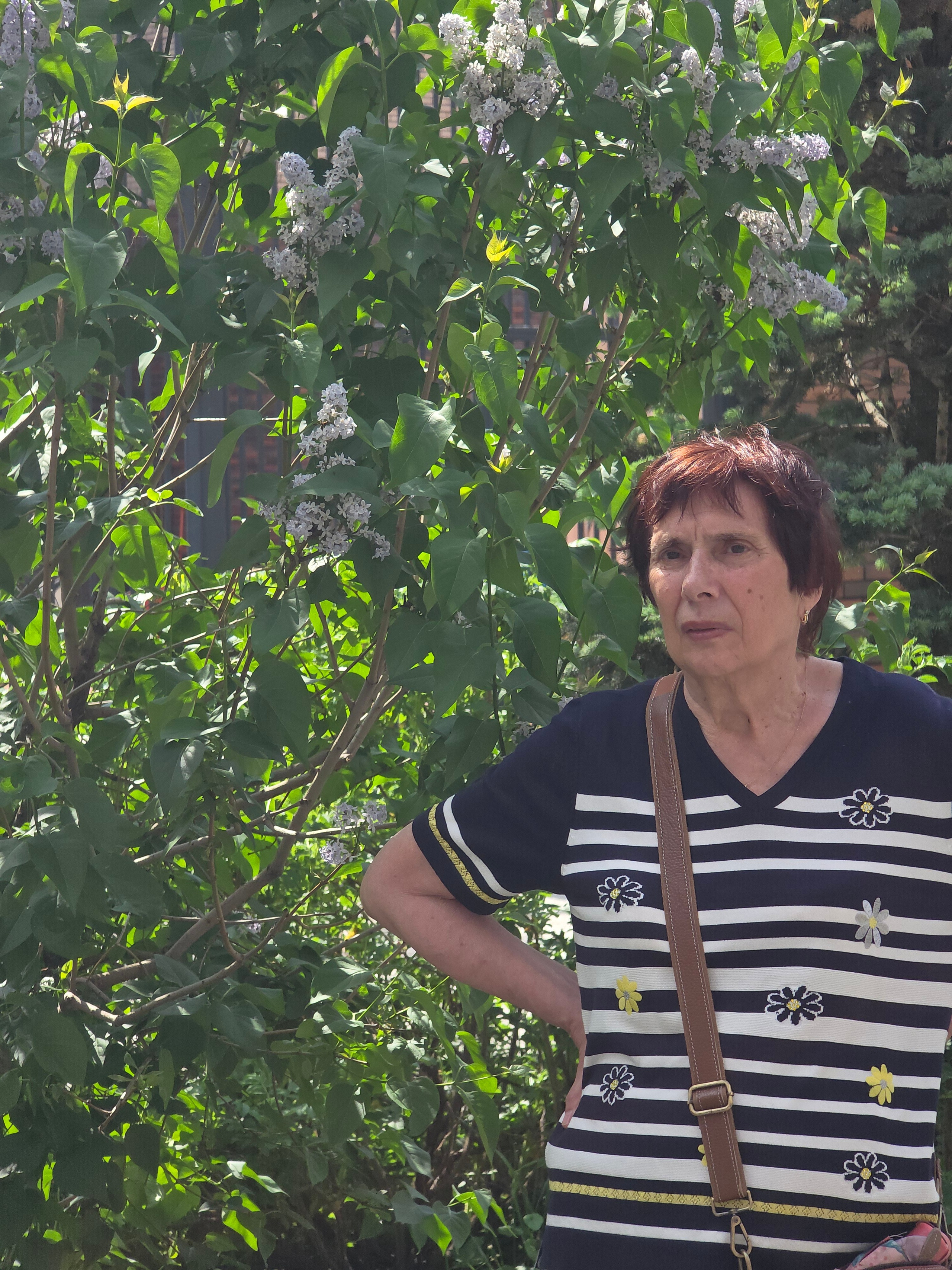 Припекает, но в ЗИЛАрте хватает и тенечка