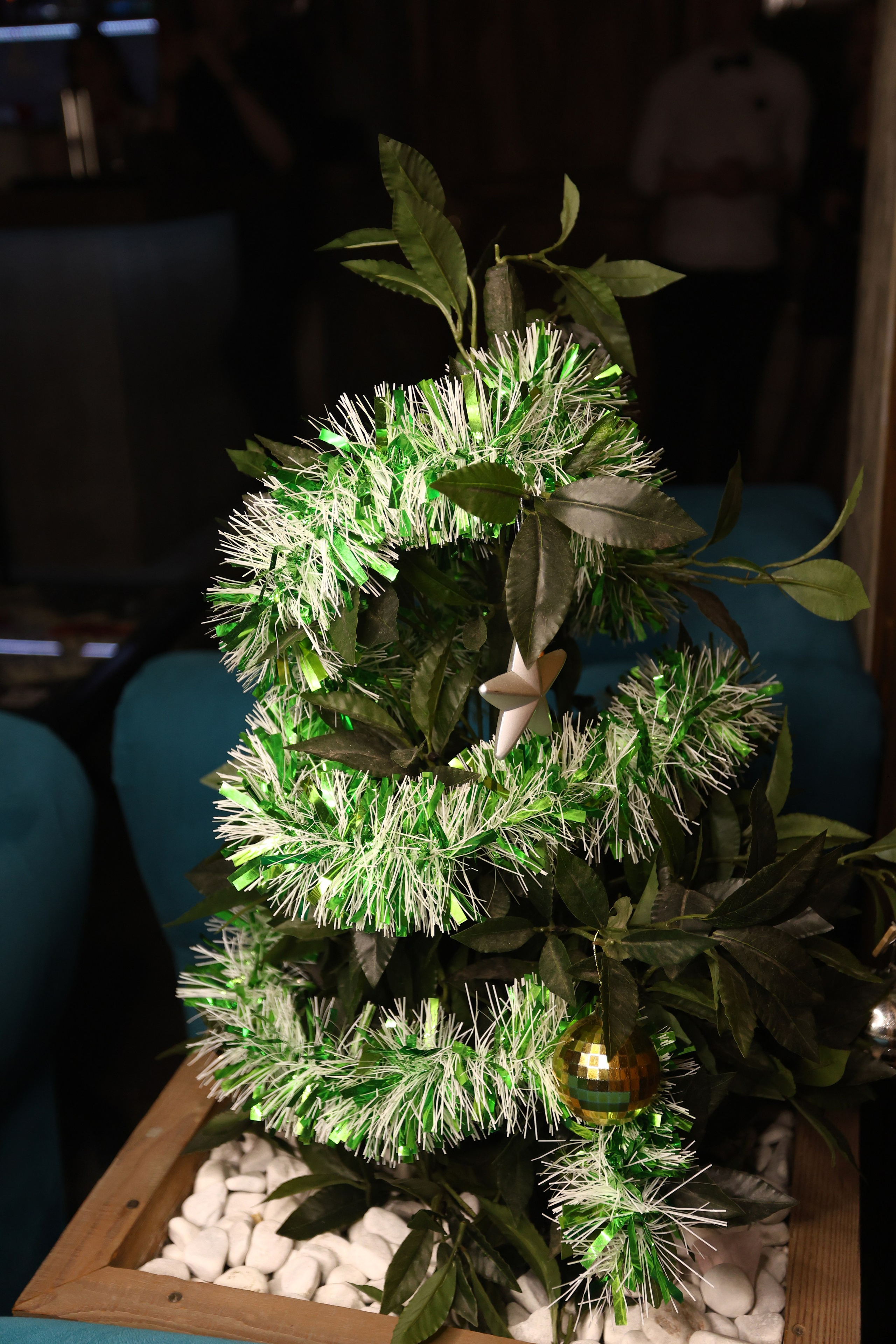 New Year 27-12-24. Мята Спортивная — Кальянная, караоке, бар в Минске