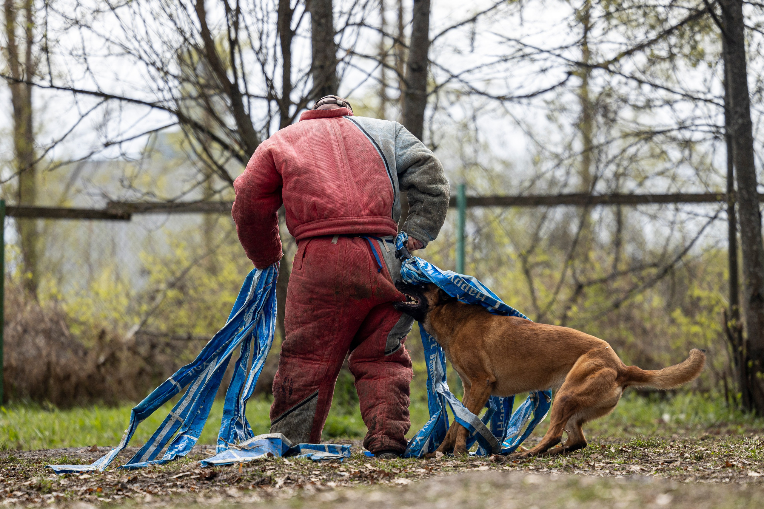 Квалификационные состязания по мондьорингу г. Вологда 11.05.24. Фотограф-анималист Анна Маринич