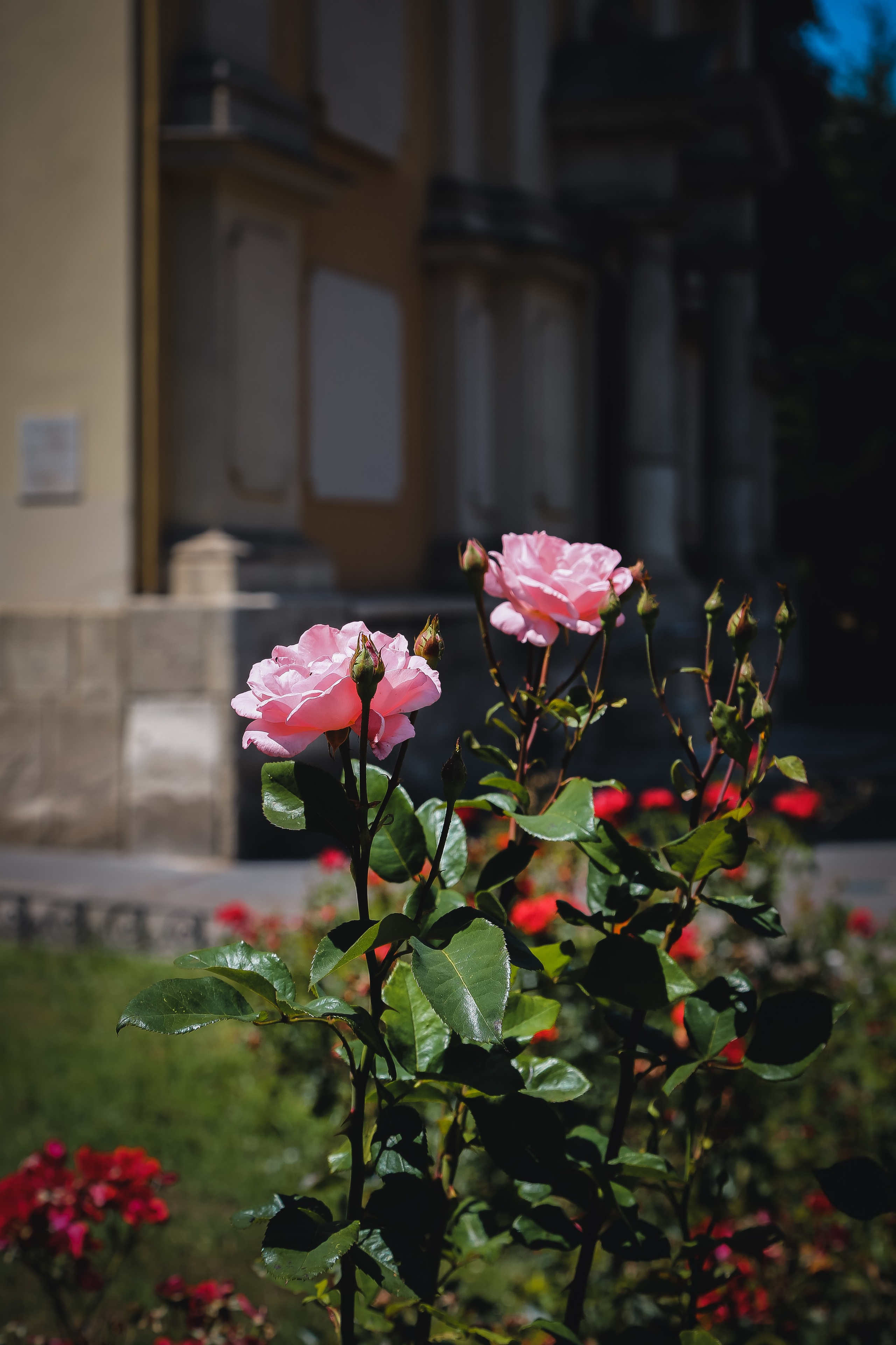 Венгрия: Будапешт. Дарья Письменюк / Darya Leitstern — фотограф, музыкант, журналист, путешественник