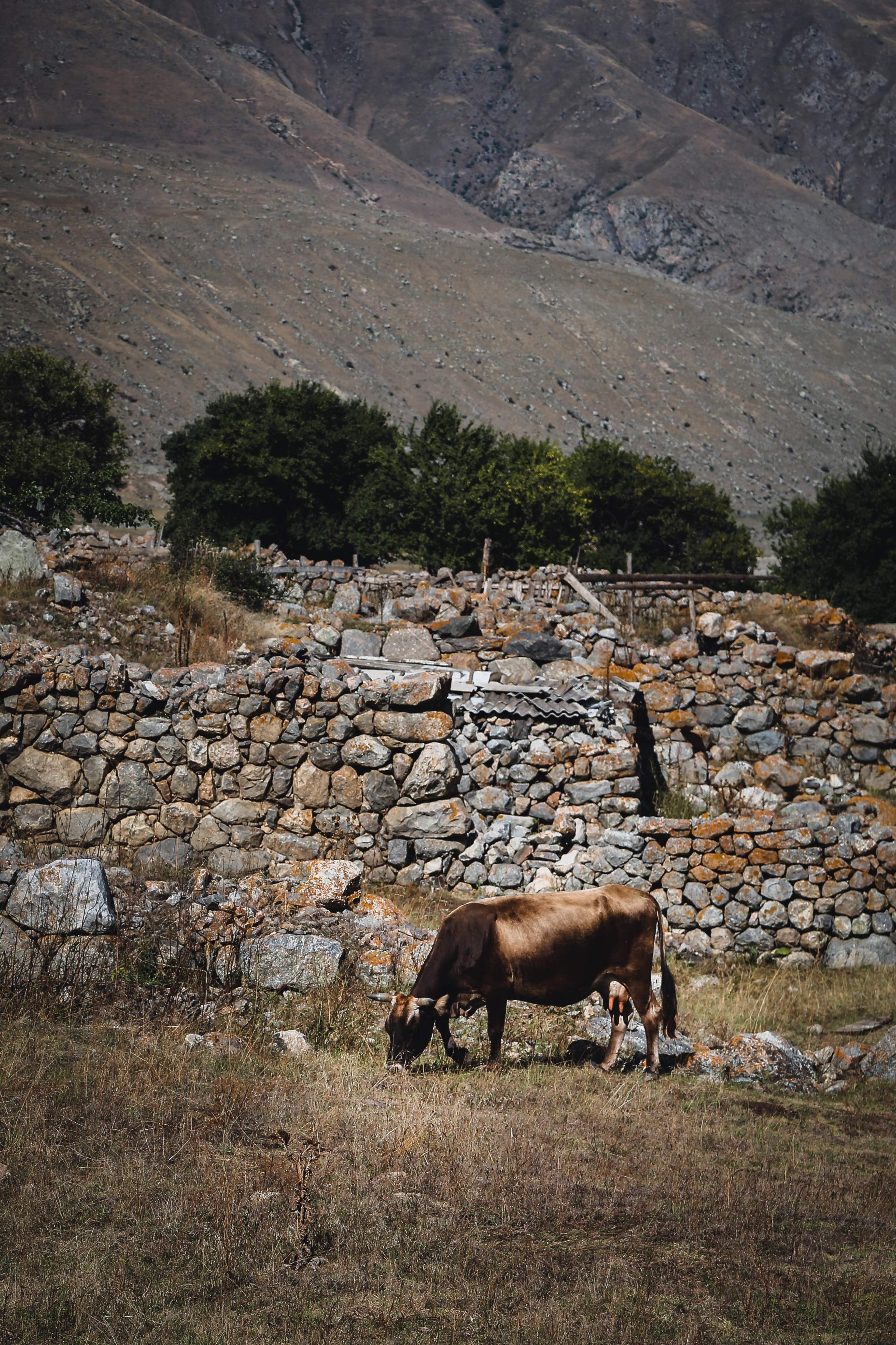 Кавказ: Кабарда vs. Балкария. Дарья Письменюк / Darya Leitstern — фотограф, музыкант, журналист, путешественник