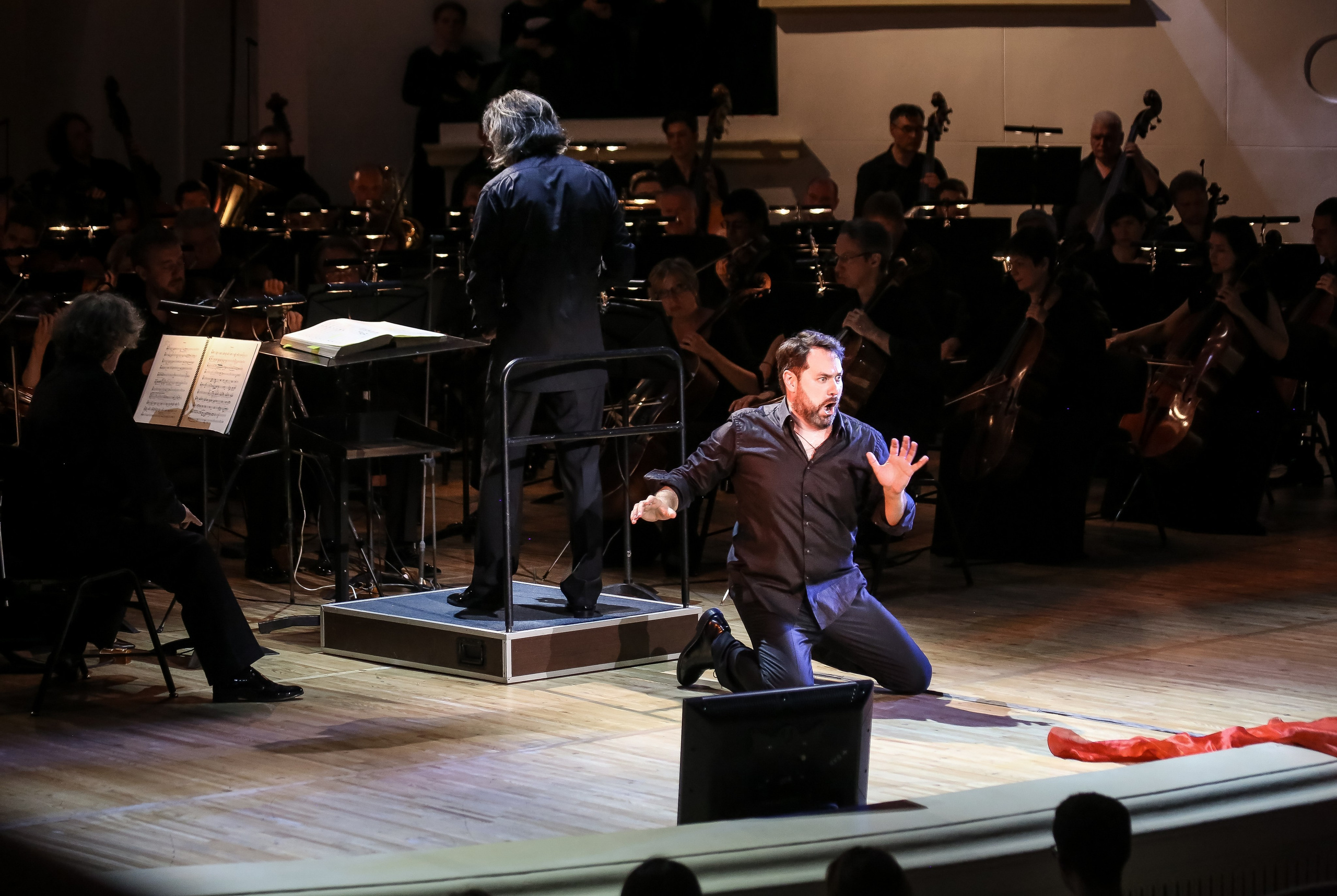 Третий вечер «Историй с оркестром»: Пушкин, Мусоргский, Буцко. Дарья Письменюк / Darya Leitstern — фотограф, музыкант, журналист, путешественник