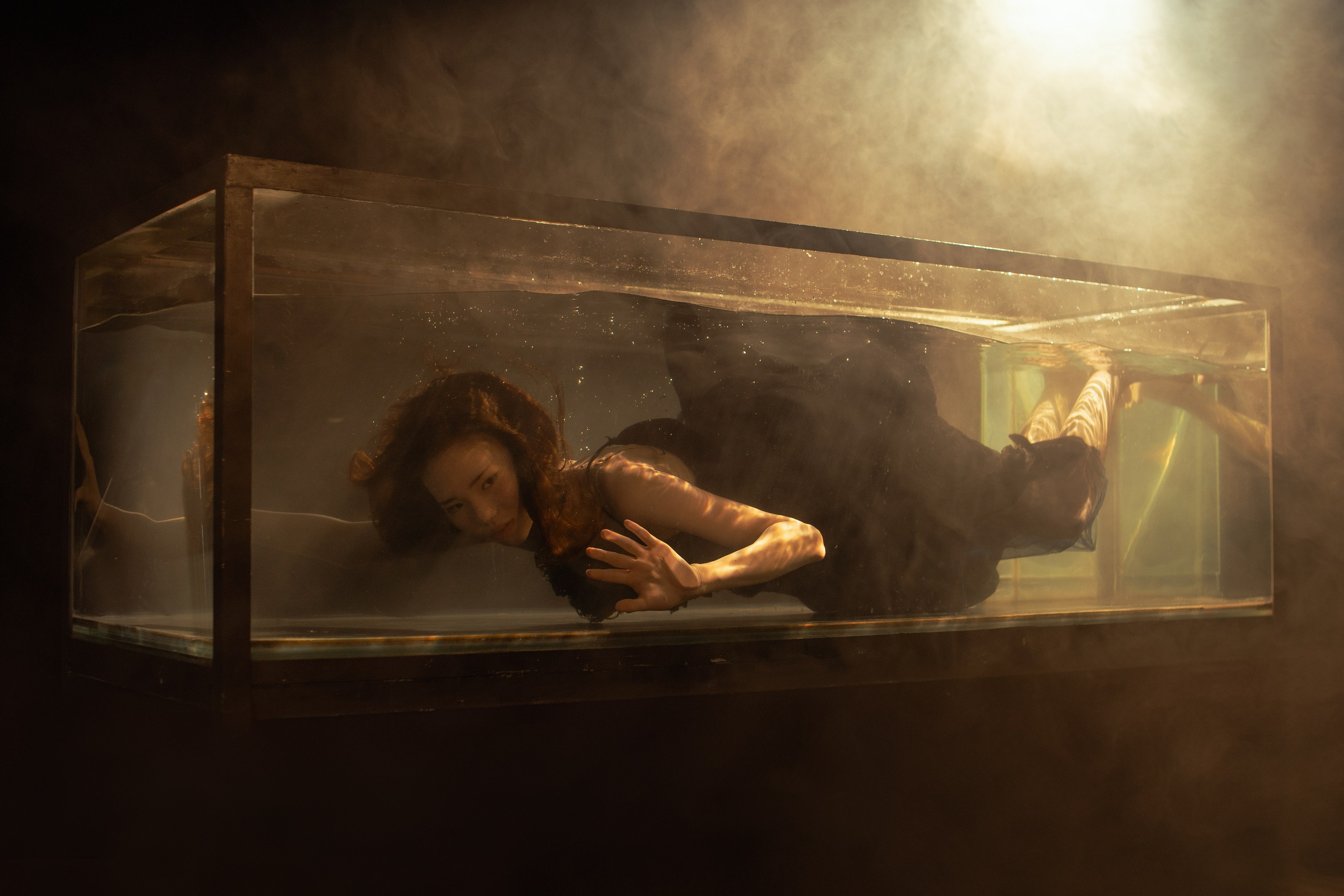 Аквариум. Фотограф Алматы — Дробышев Алексей