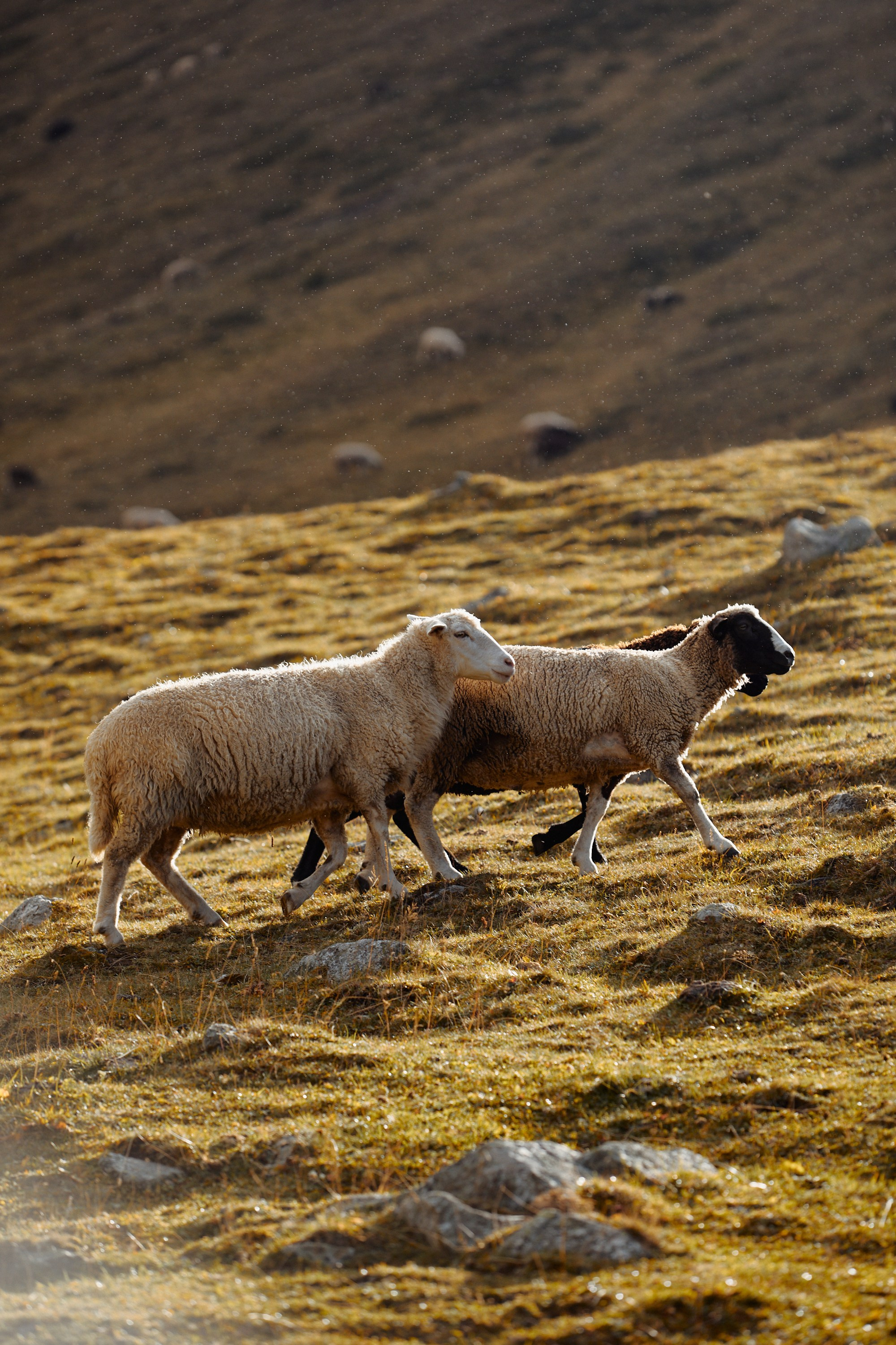 Озеро Гийбашкель. Фотограф Продюсер в горах КБР / Москва  Нальчик Горы