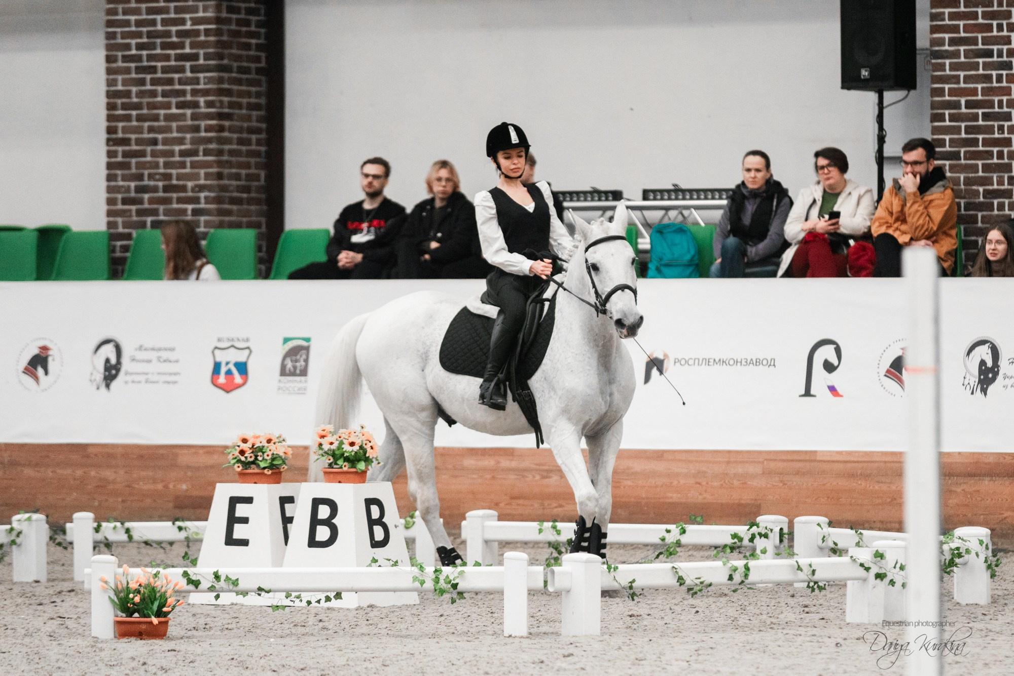8-я международная выставка Конная Россия. Конный фотограф Куракина Дарья • Фотосессии с лошадьми