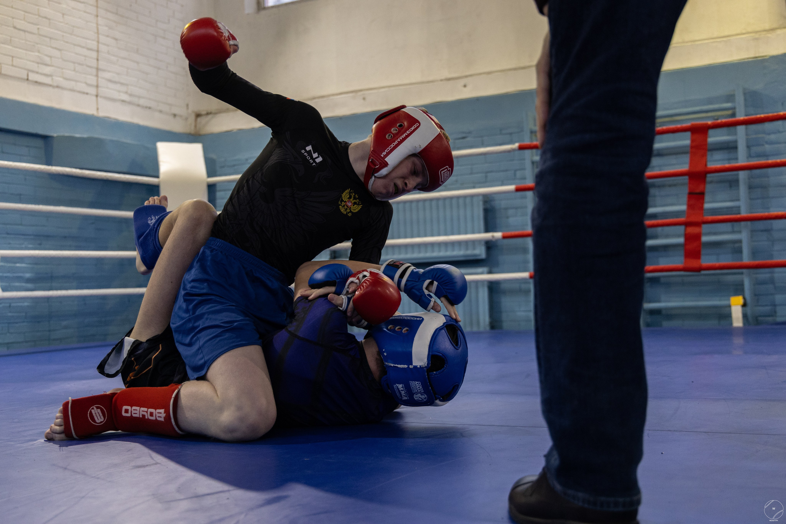 Соревнования MMA. Фотограф Александр Чистяков