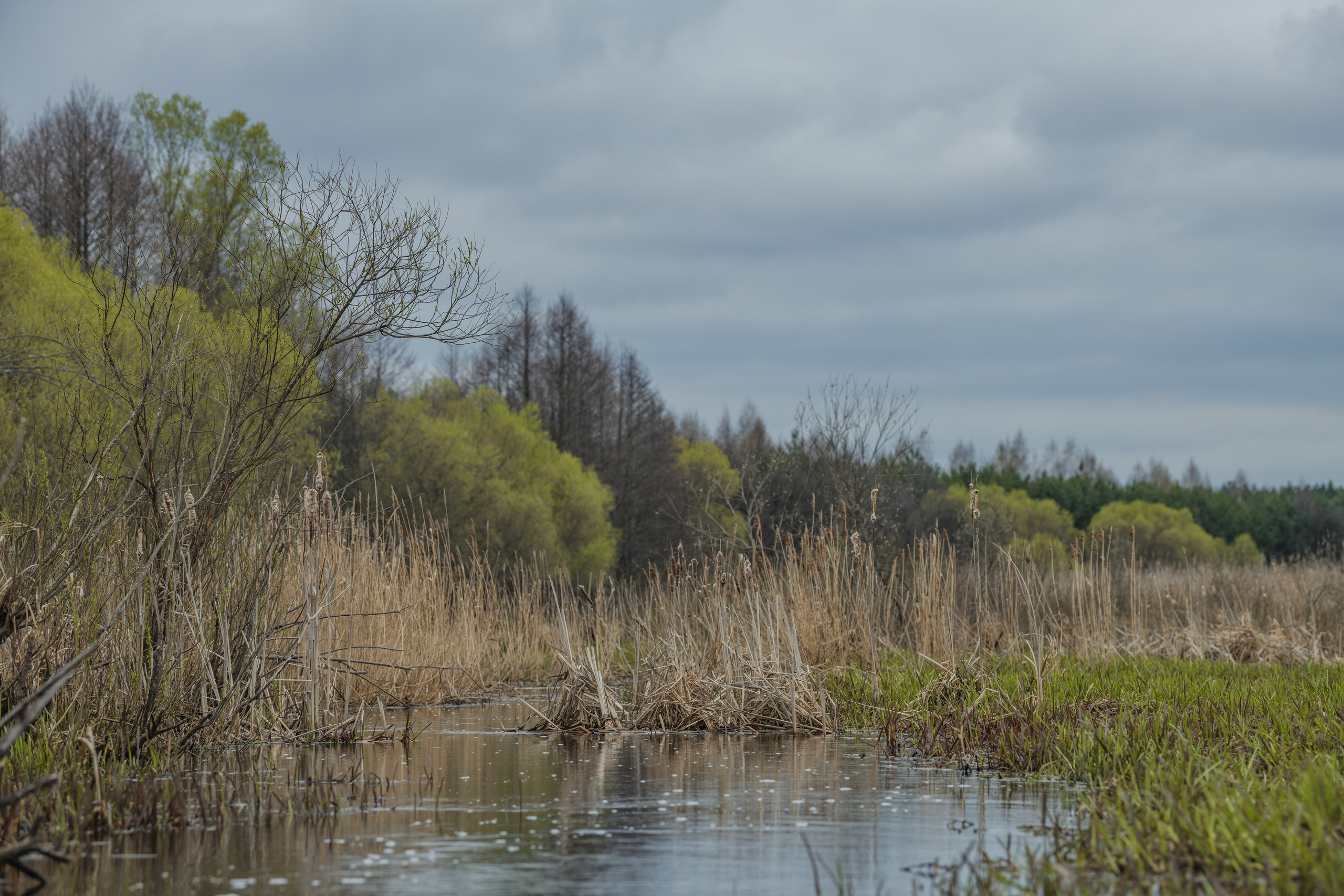 Разведка нового маршрута. Репортажный фотограф Владимир Беляй