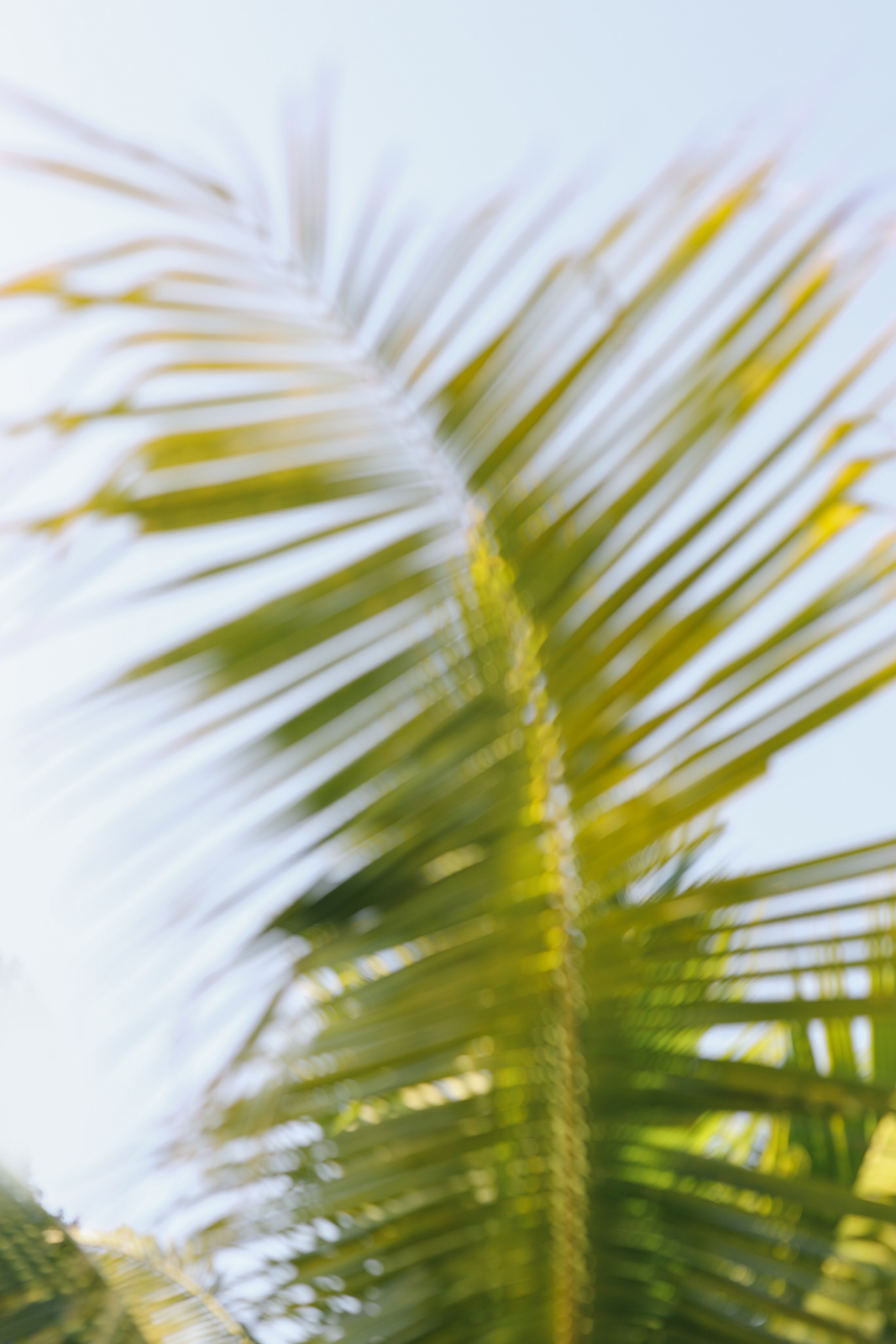 Thailand / Ban Sainai Resort. Ekaterina Buneeva Photography