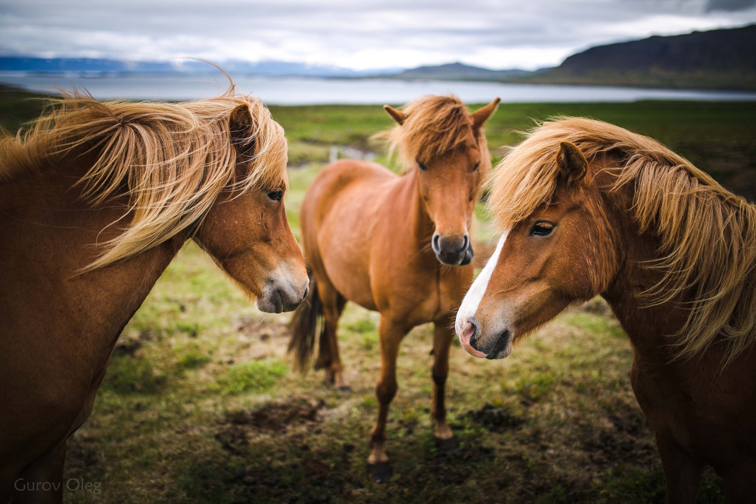 Тревел-фотограф Олег Гуров