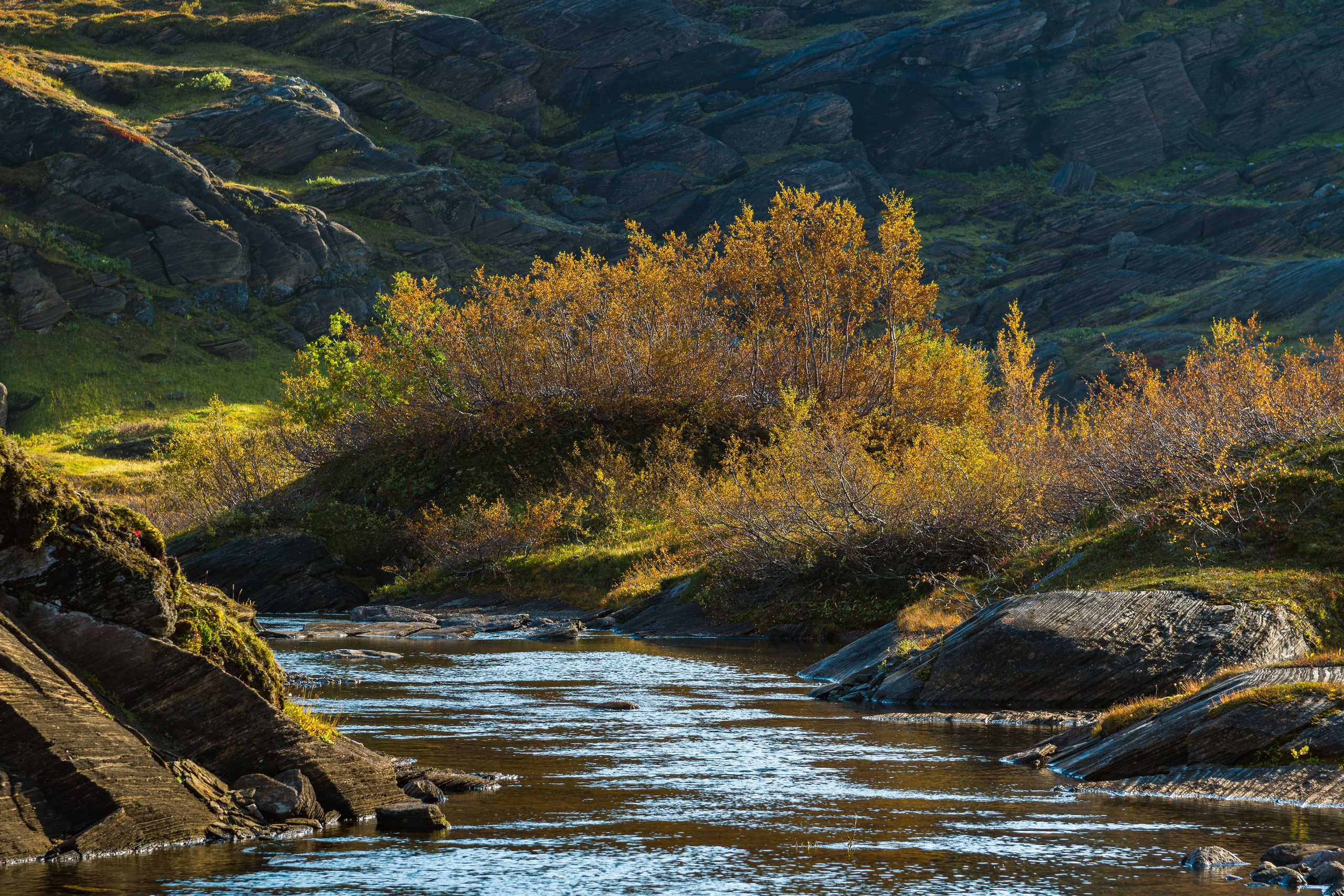 Норвегия. Северные Ночи