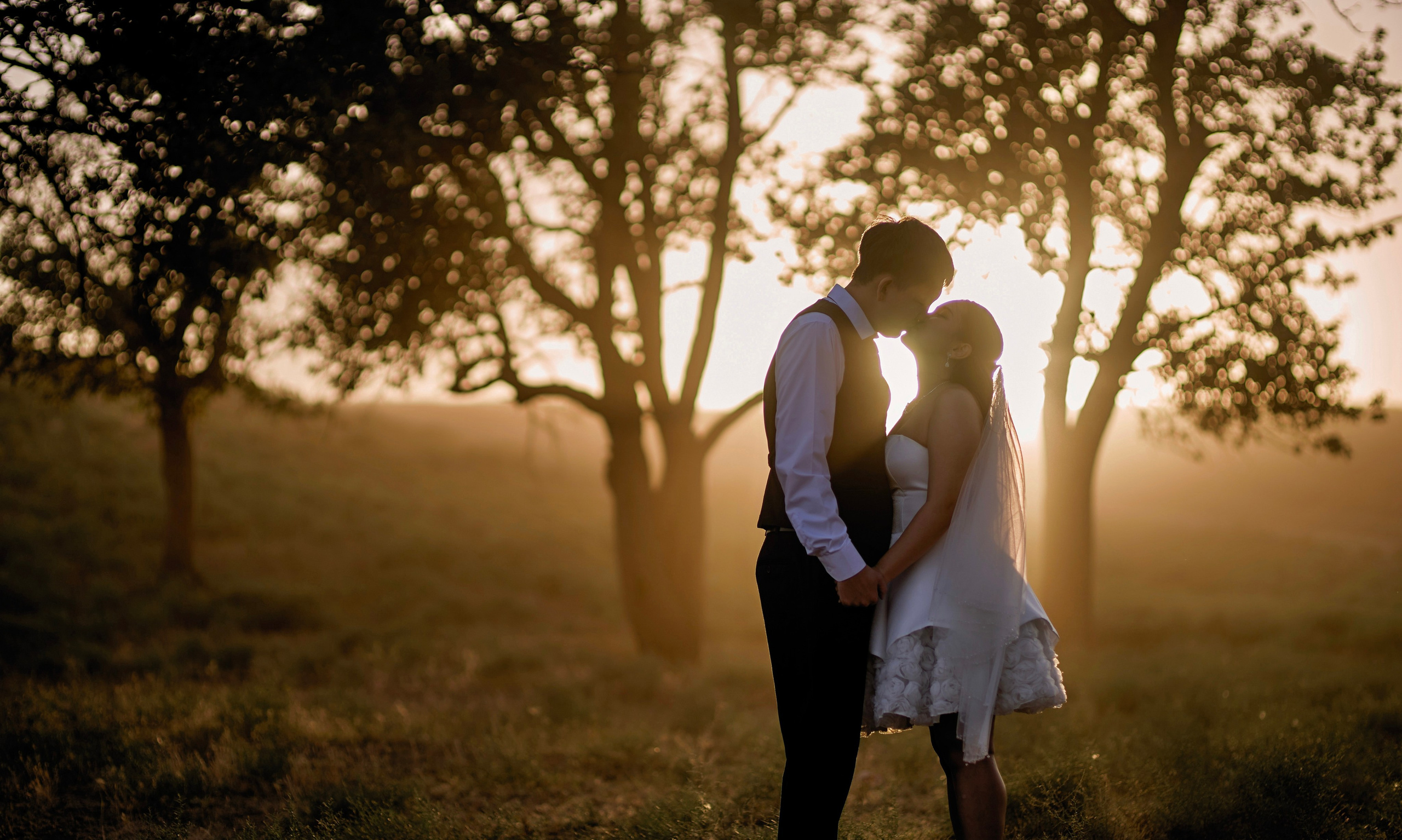 Портфолио. Свадебный фотограф в Элисте Аркадий Шарманжинов