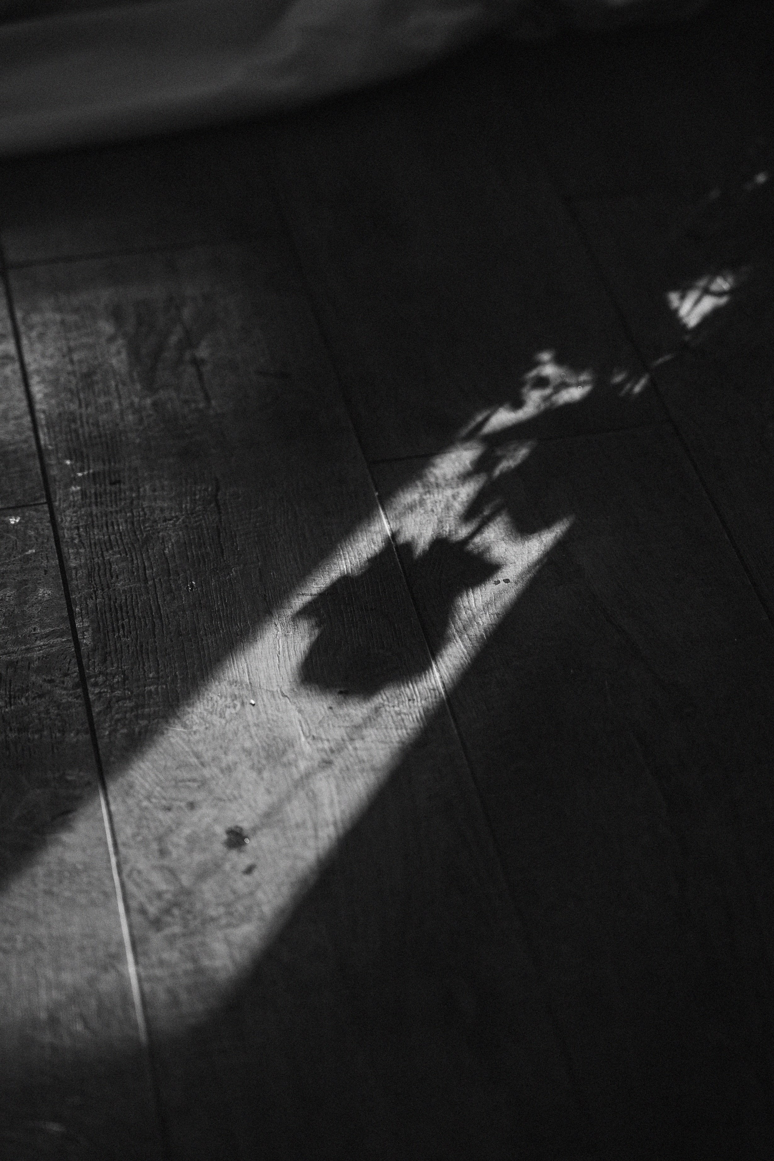 Свадебный банкет на вилле Политика. Свадебный фотограф Москва