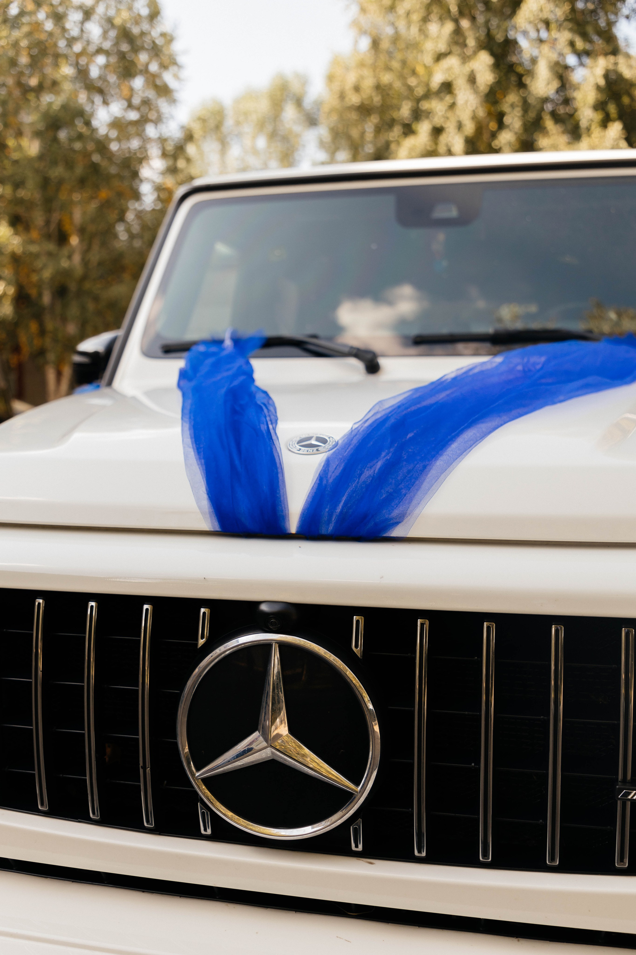 Александр & Диана. Фотограф Рубцовск и Барнаул