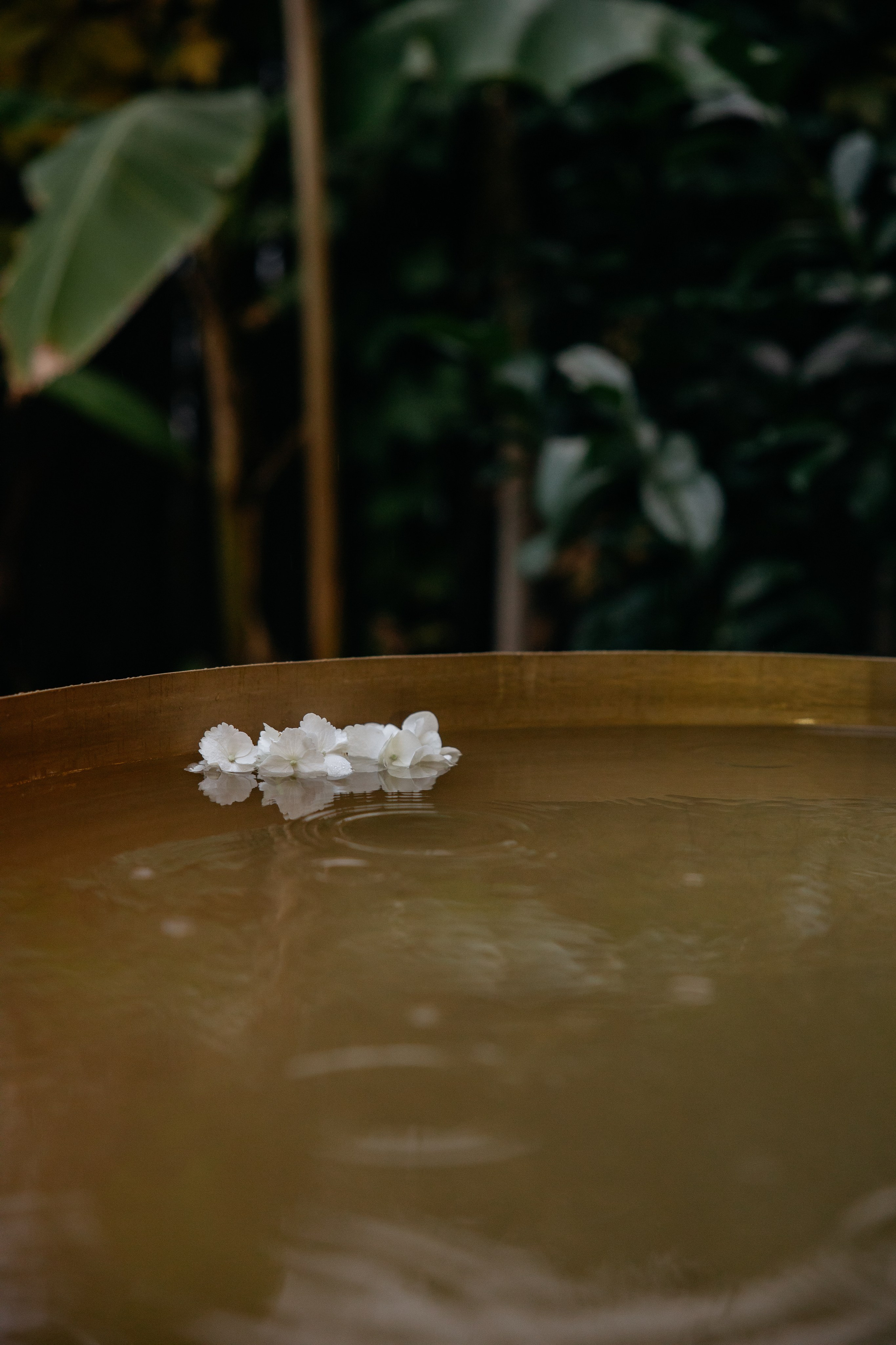 Леонид и Дарья. Свадебный фотограф Краснодар и Москва. Анна Еремчук