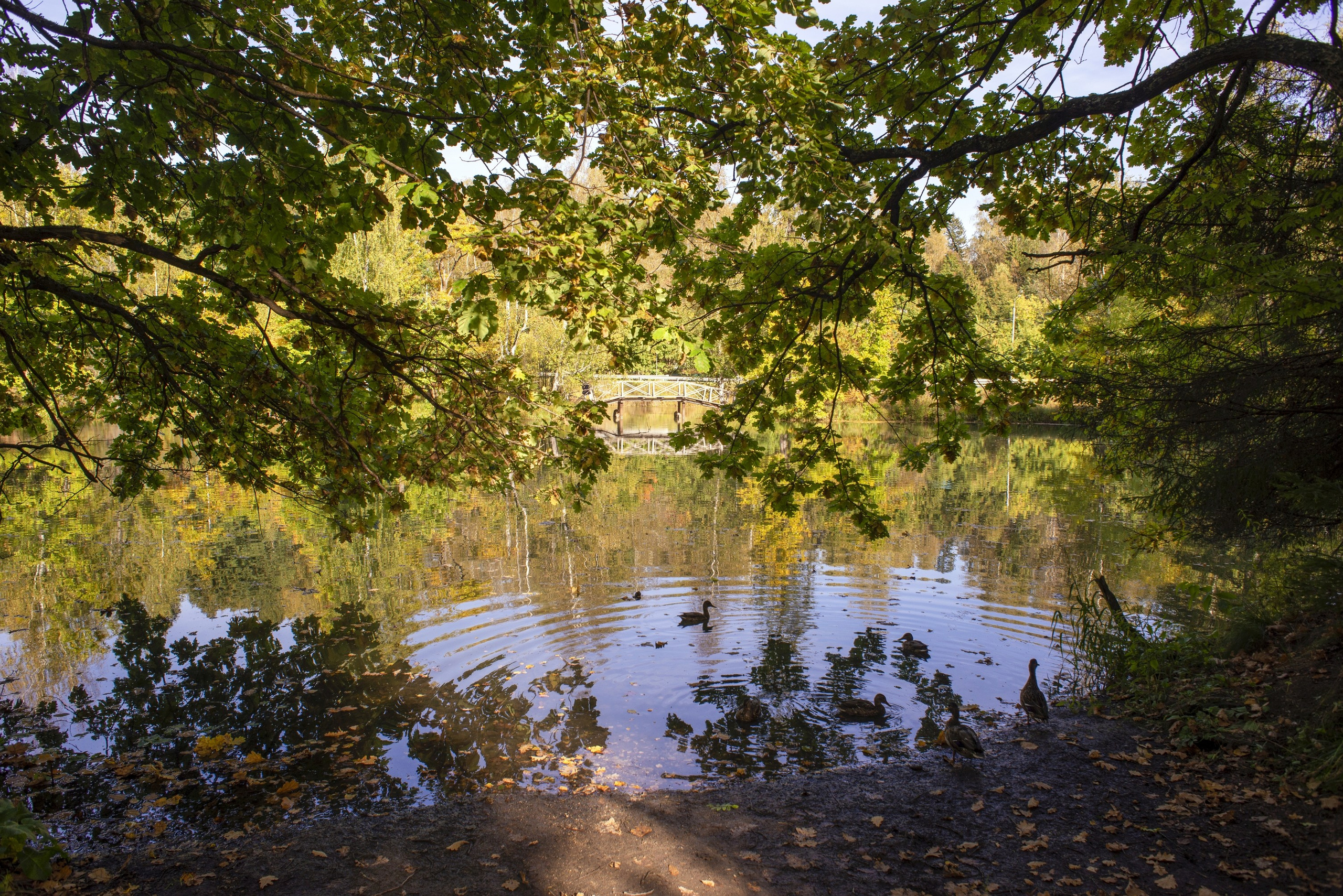 Абрамцево. Сентябрь 2023. Игорь Жучков. Россия увиденная глазами путешествующего фотографа
