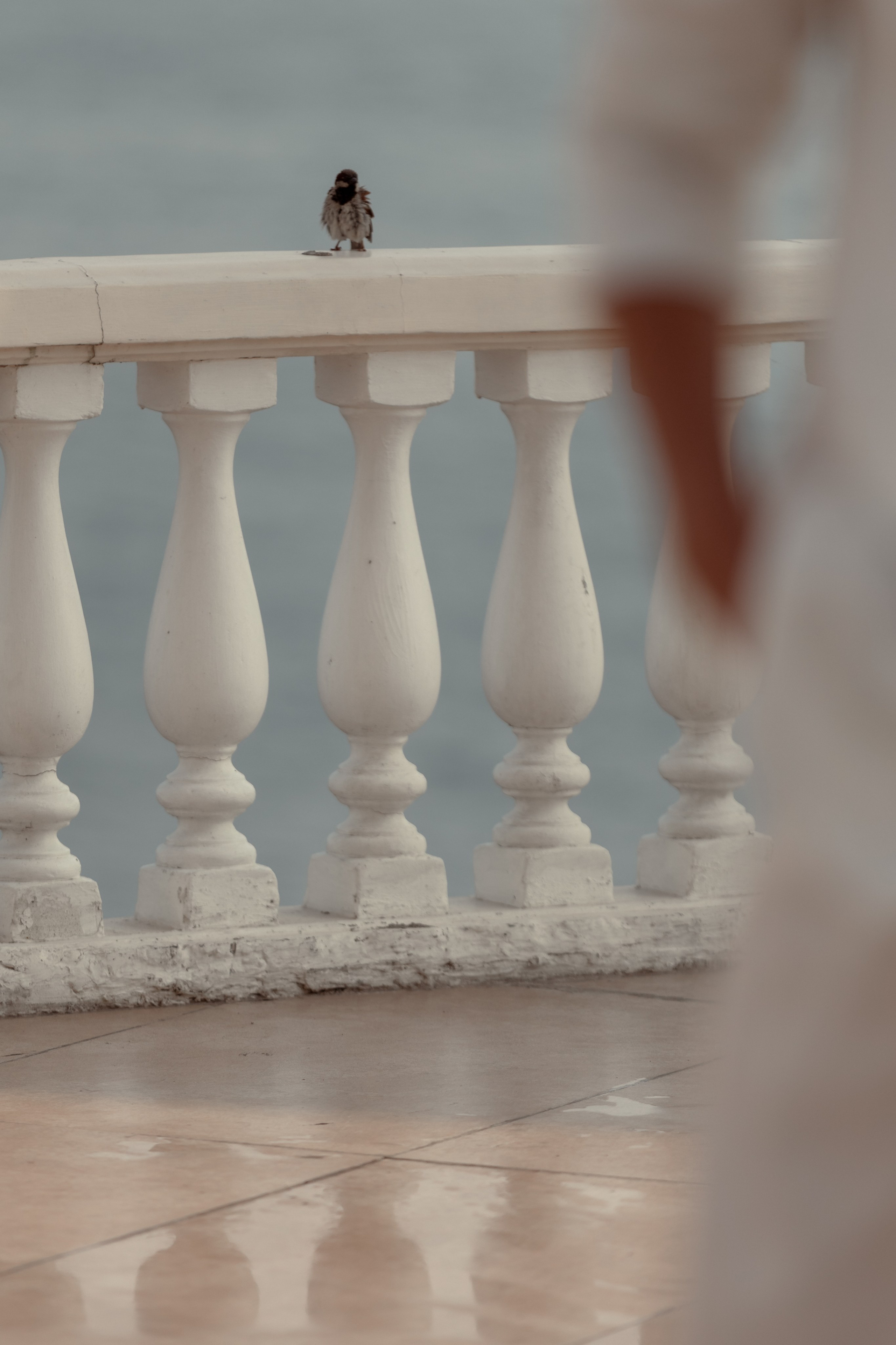 Style Fashion Show. Backstage. Сочи 2025. Фотограф в Ростов-на-Дону Виктория Савчук