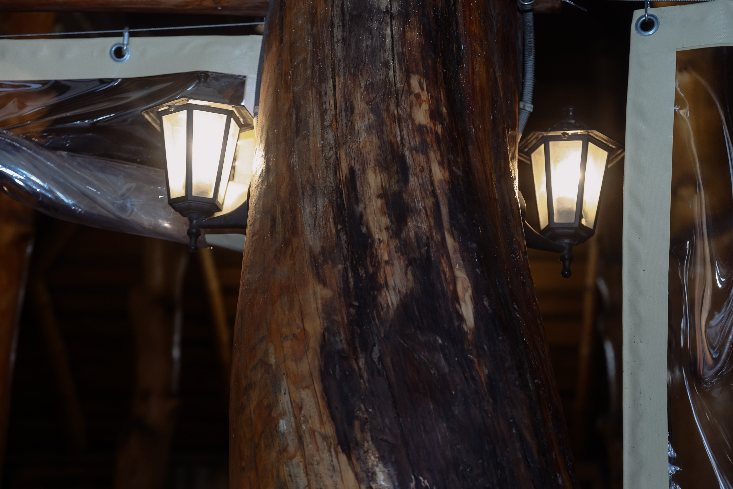 Корпоратив Комплект-Айс в Борвихе. Фотограф Юлия Мальцева