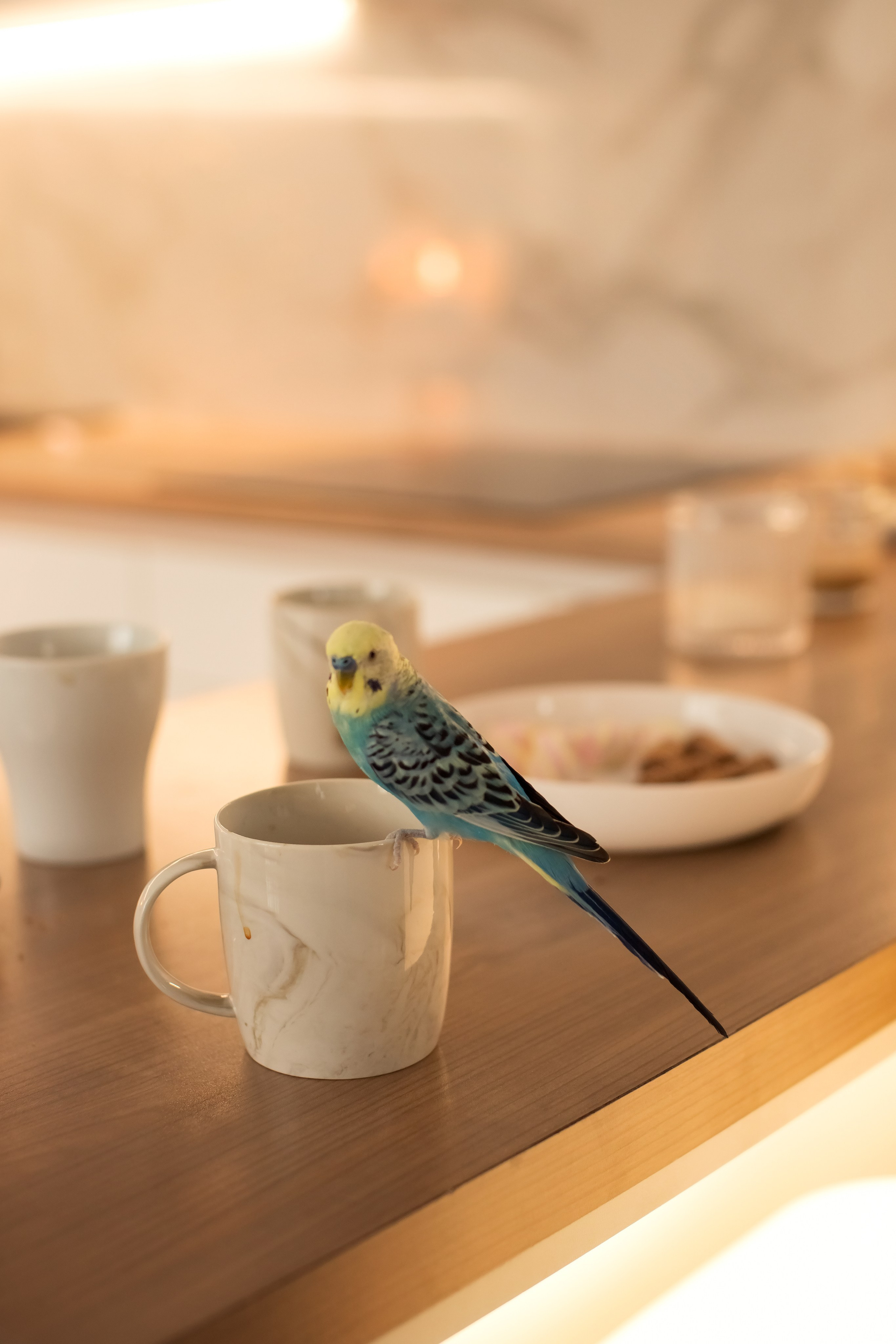 Воркшоп " Домашняя фотосессия». Семейный и детский фотограф в Саратове Полина Коткина