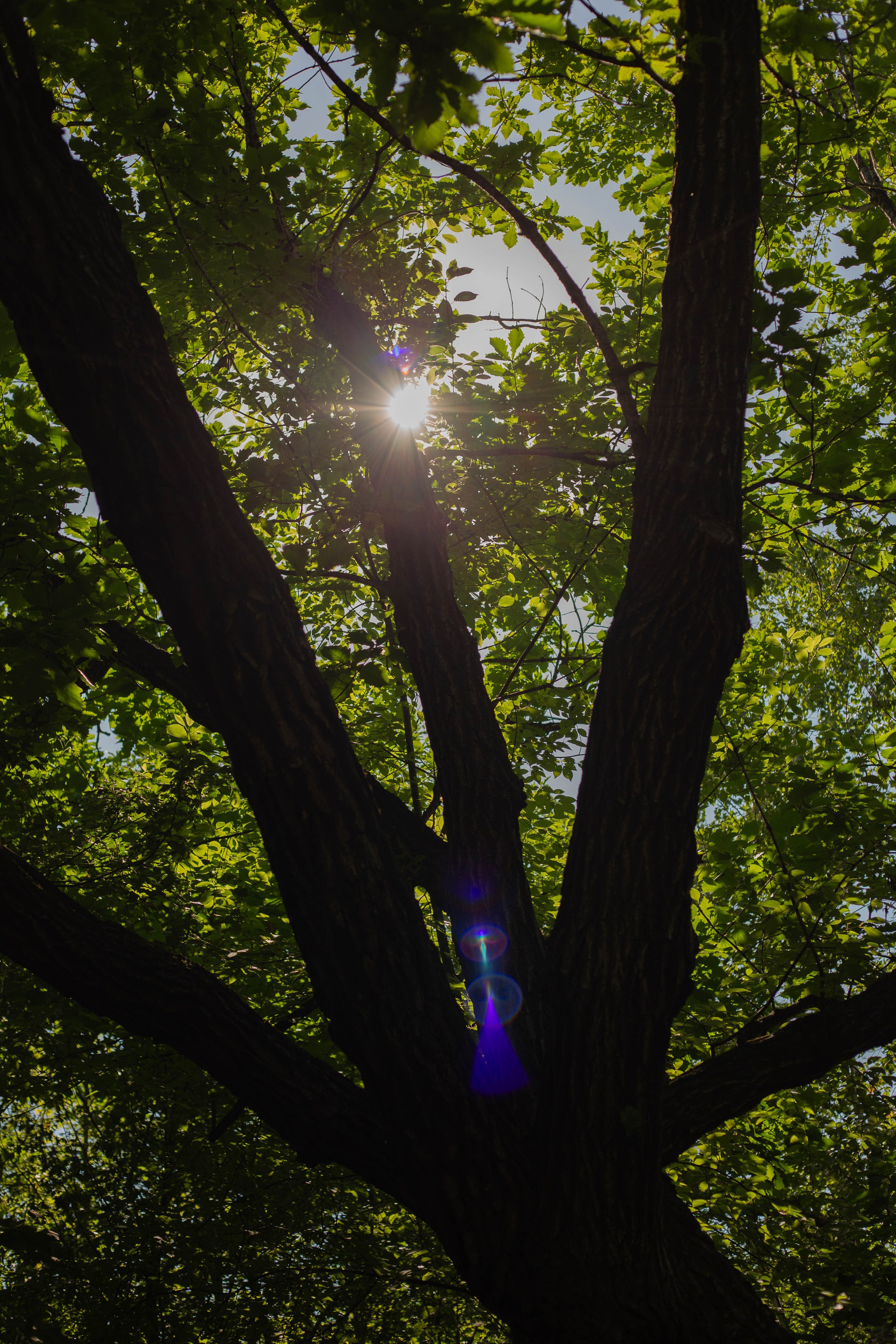 Фотокарточки прогулка. Семейный фотограф в Благовещенске и Амурской области Морозова Ната