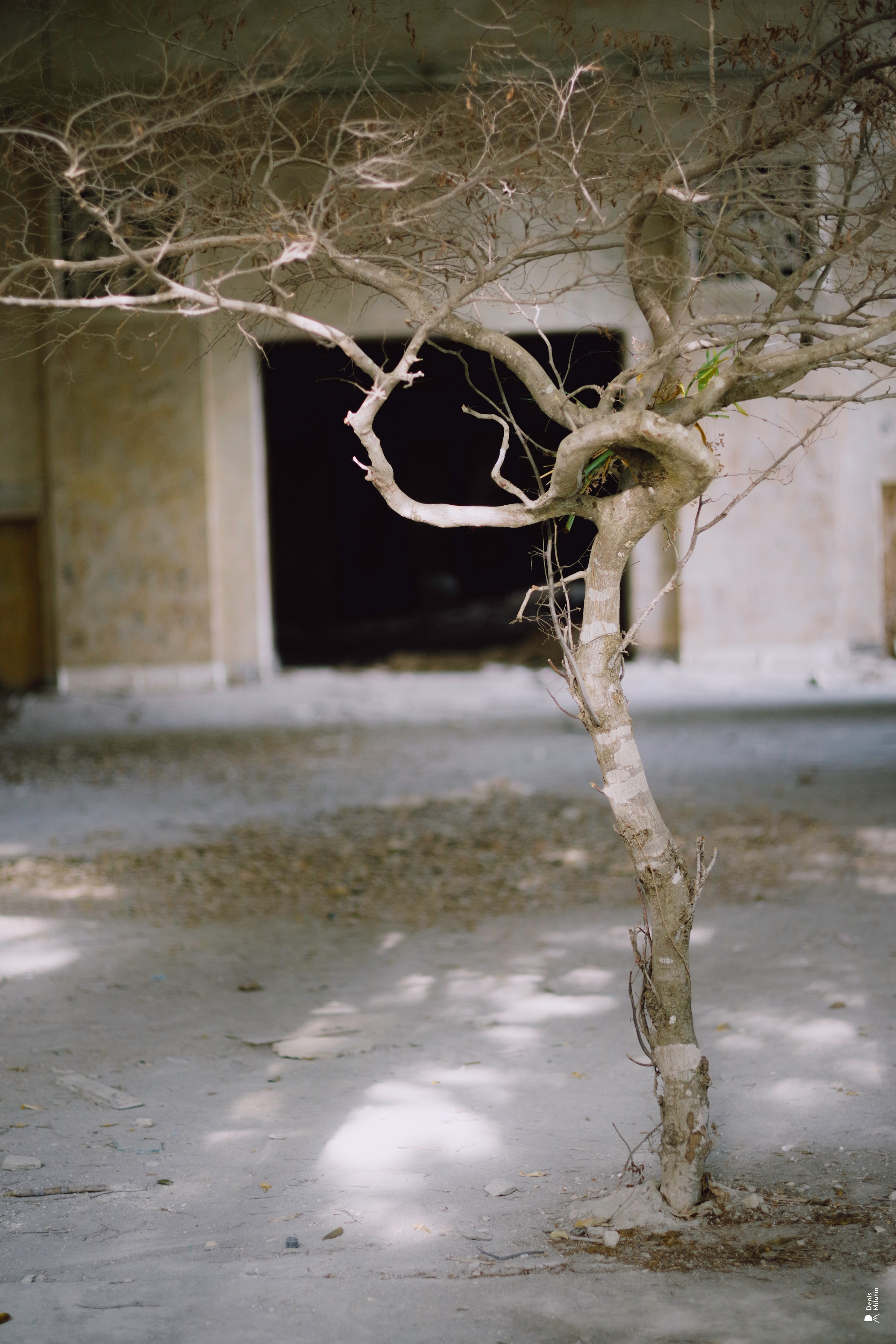 В отпуске с Артёмом. Портретный фотограф Денис Милютин