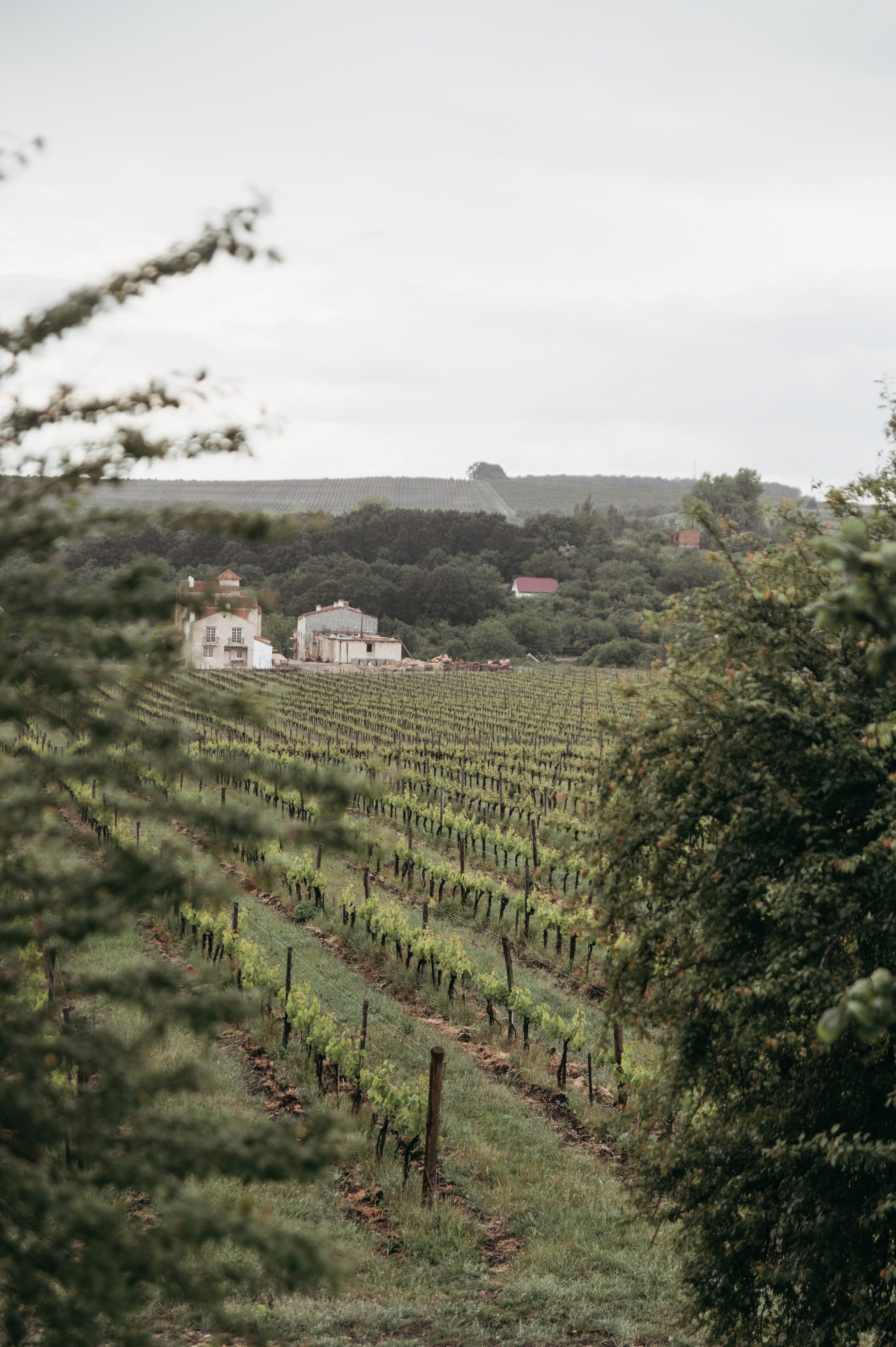 Свадебный фотограф в Твери, Москве и Санкт-Петербурге Денисова Екатерина