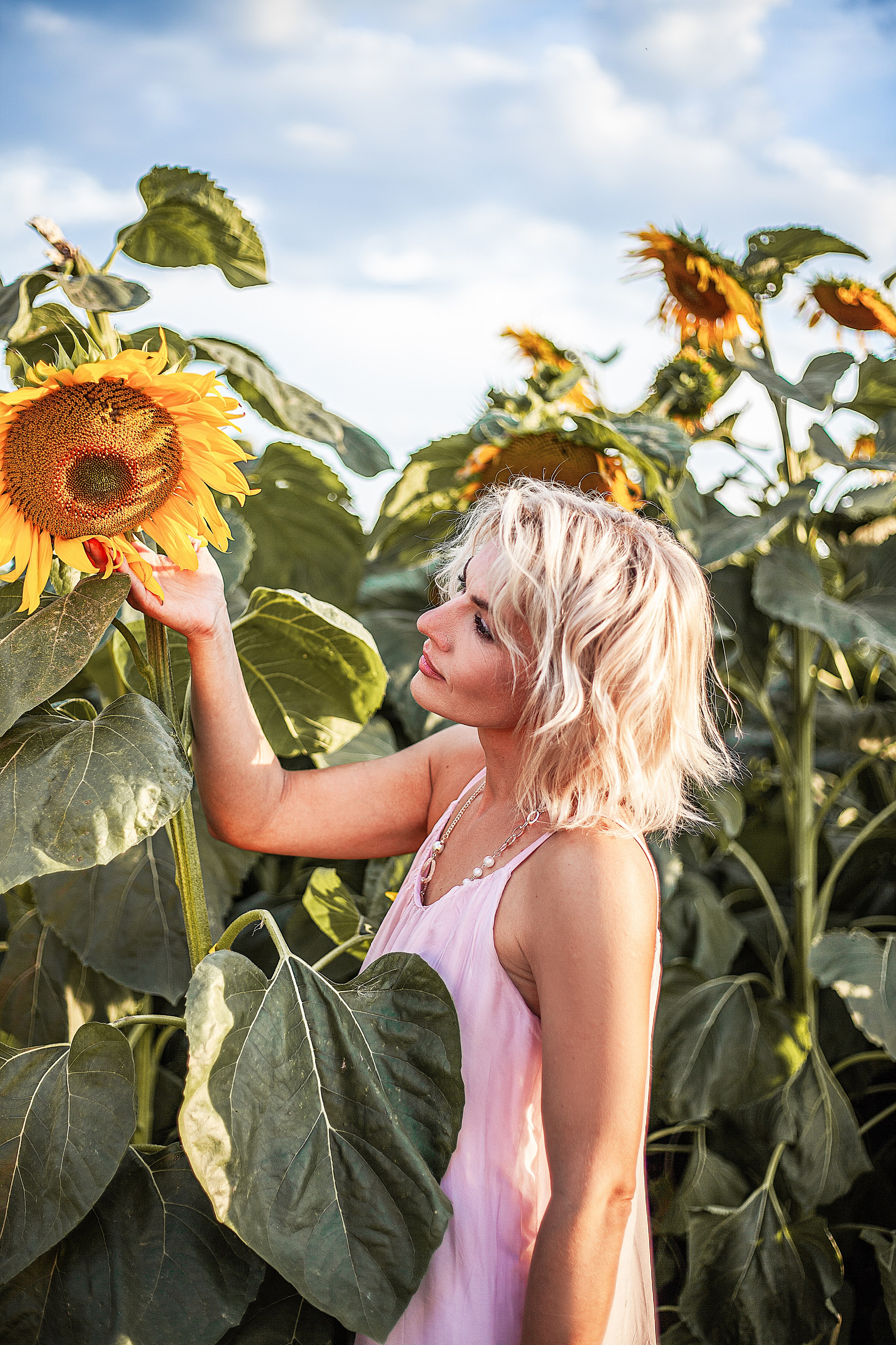 Подсолнухи!