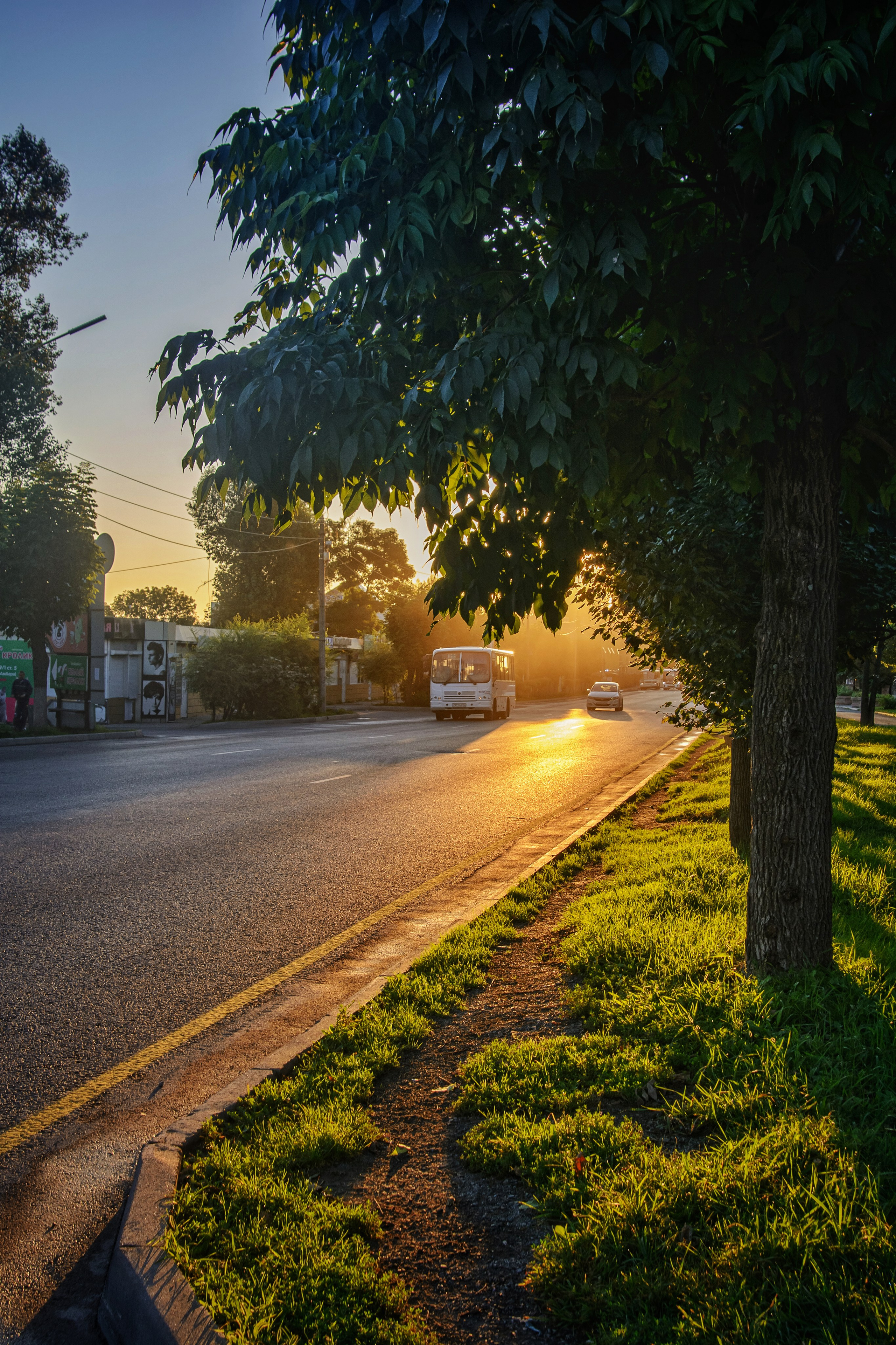 Пейзажи и дикая природа. Пейзажный и репортажный фотограф