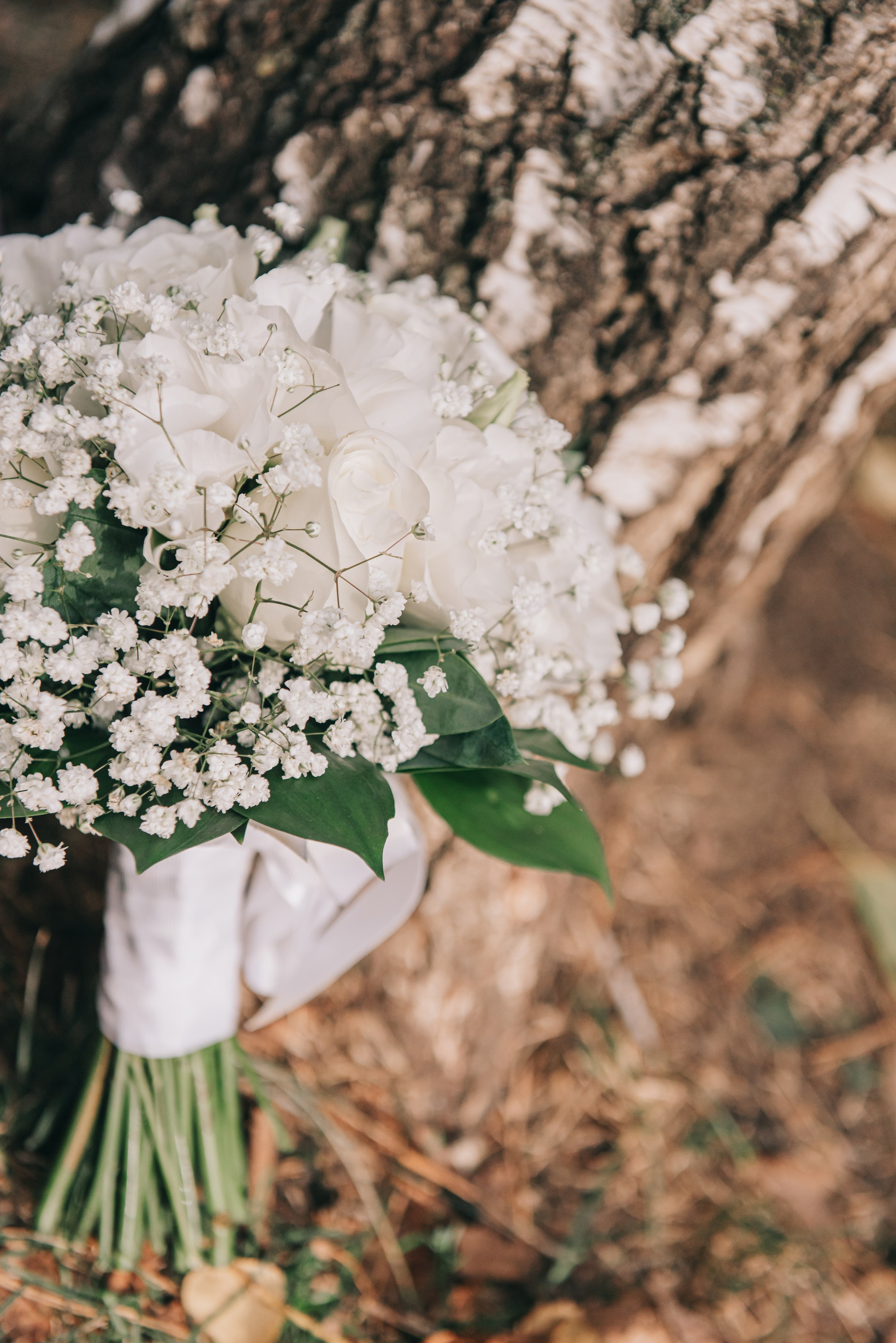 Свадьба Алексея и Софии. Фотограф в Краснодаре Зеленкина Дарья