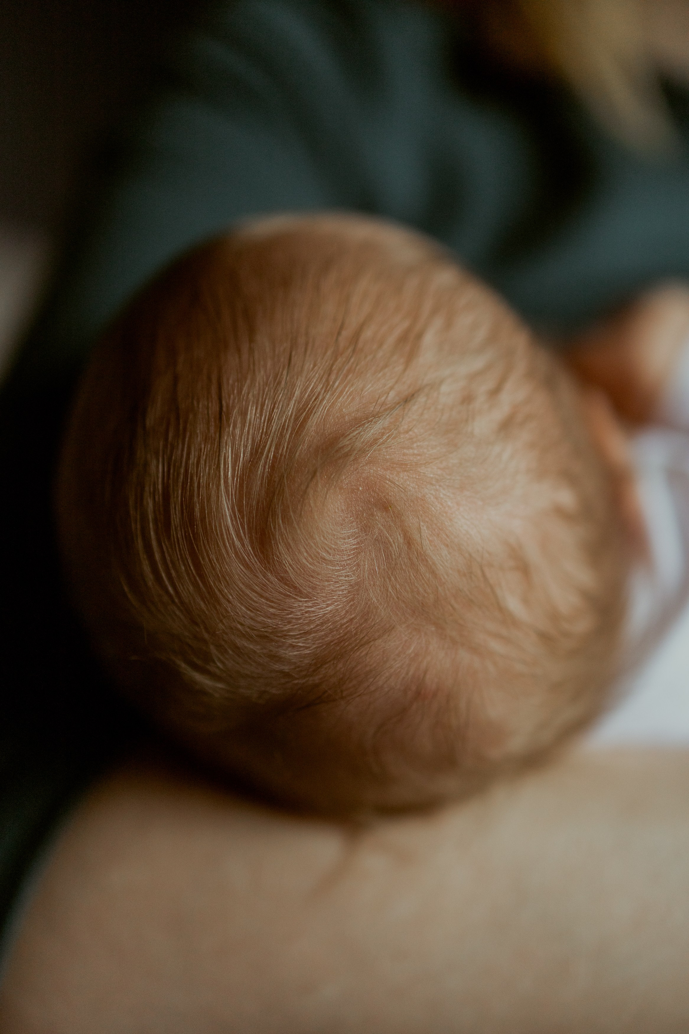 фотосессия новорожденного, фотосессия новорожденных, ньюборн, пушкин, павловск, спб, семейная фотосессия