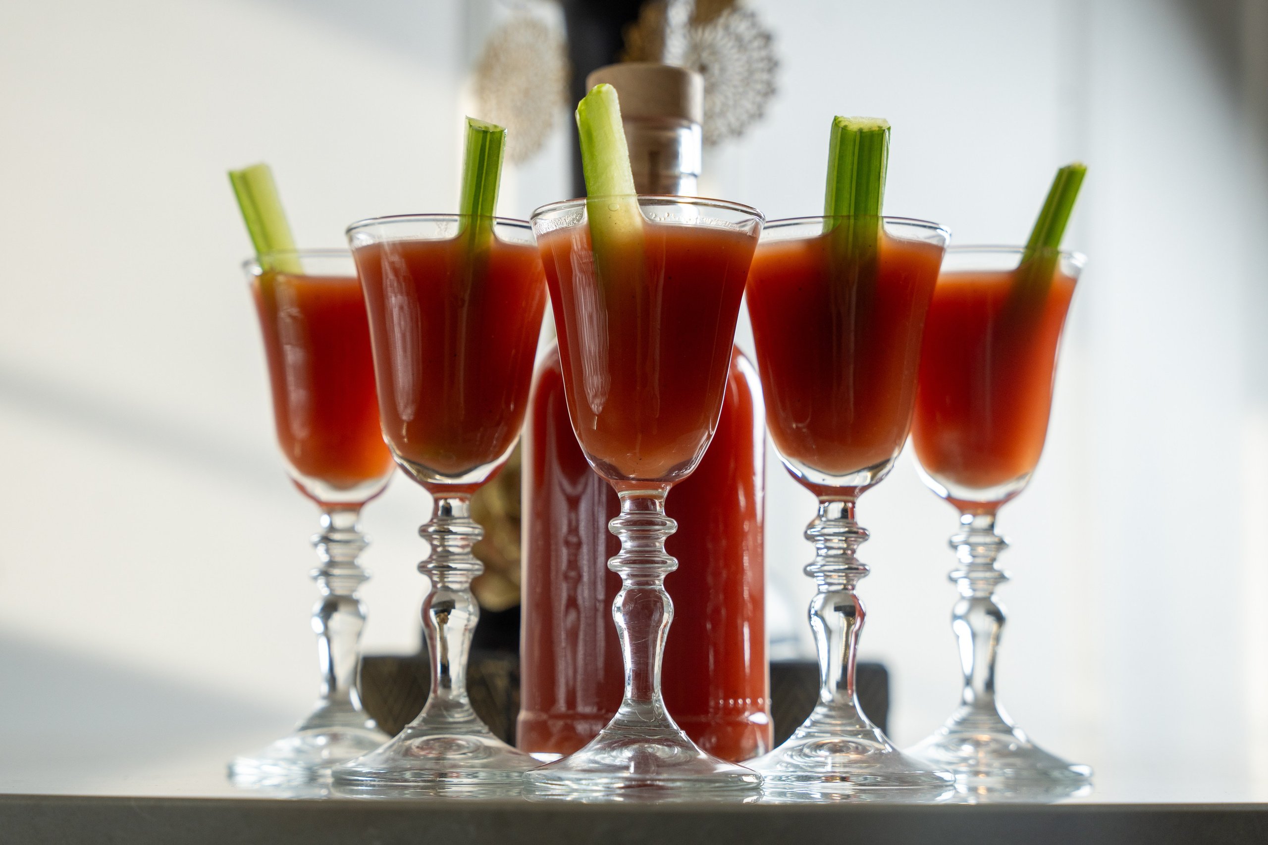 Гимлет. Фотограф Хабаровск