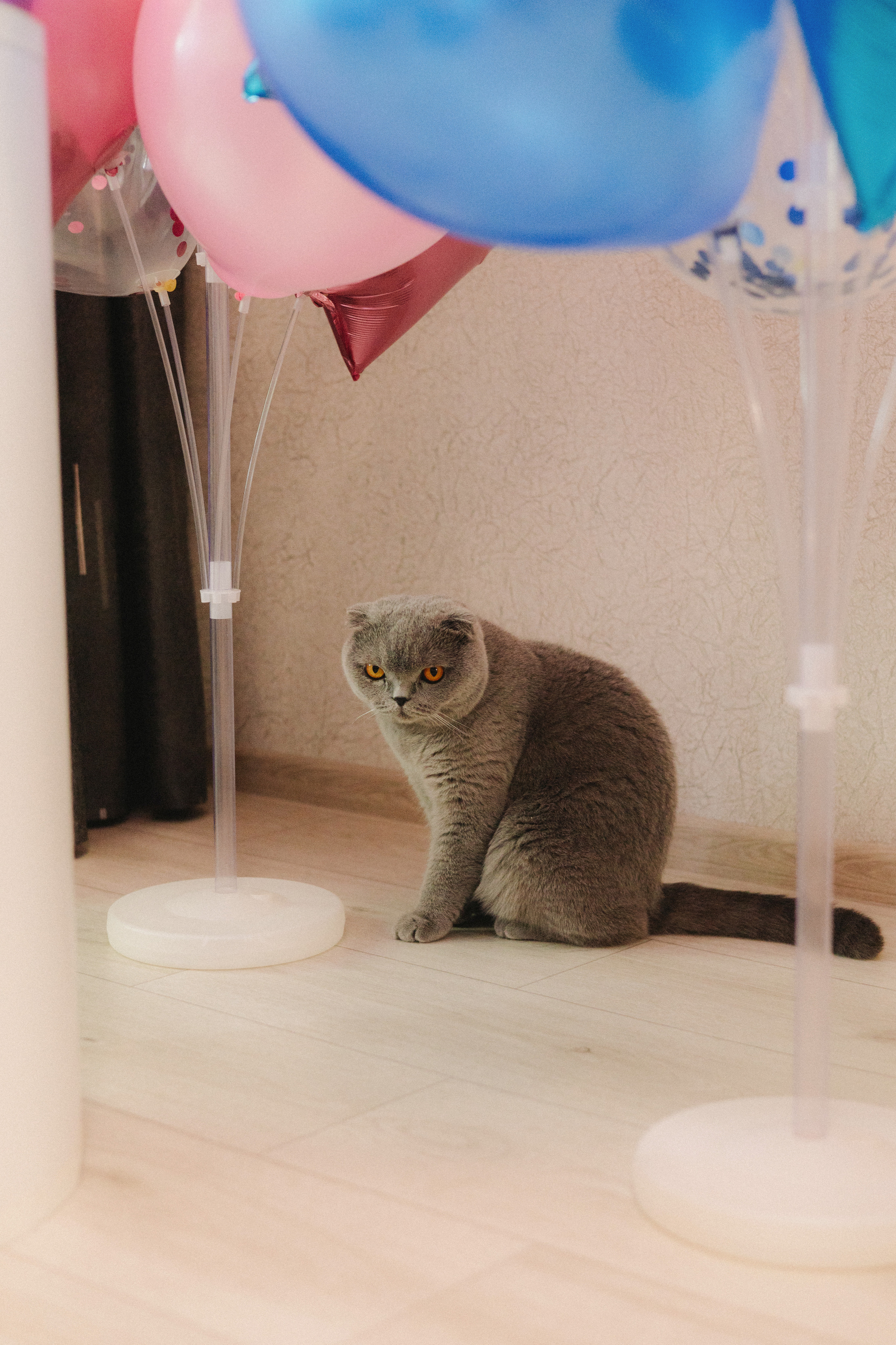 Детский фотограф биробиджан. Детский и семейный фотограф  Биробиджан Оля Светагор