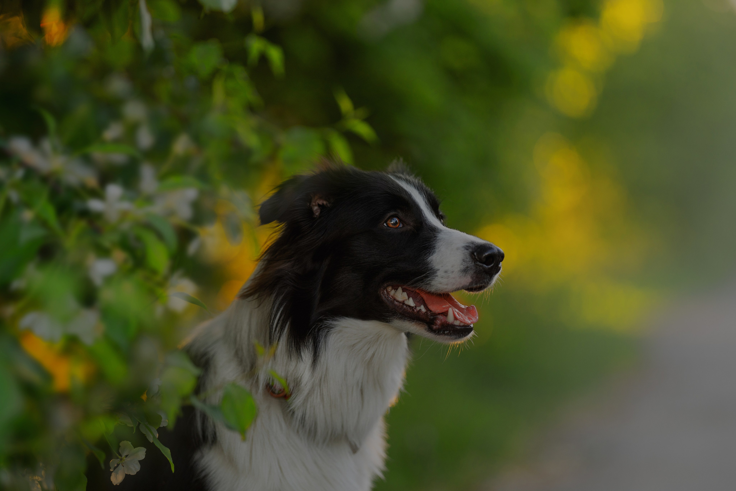 Люба + Близ (рассветная съемка). Kameramotor74