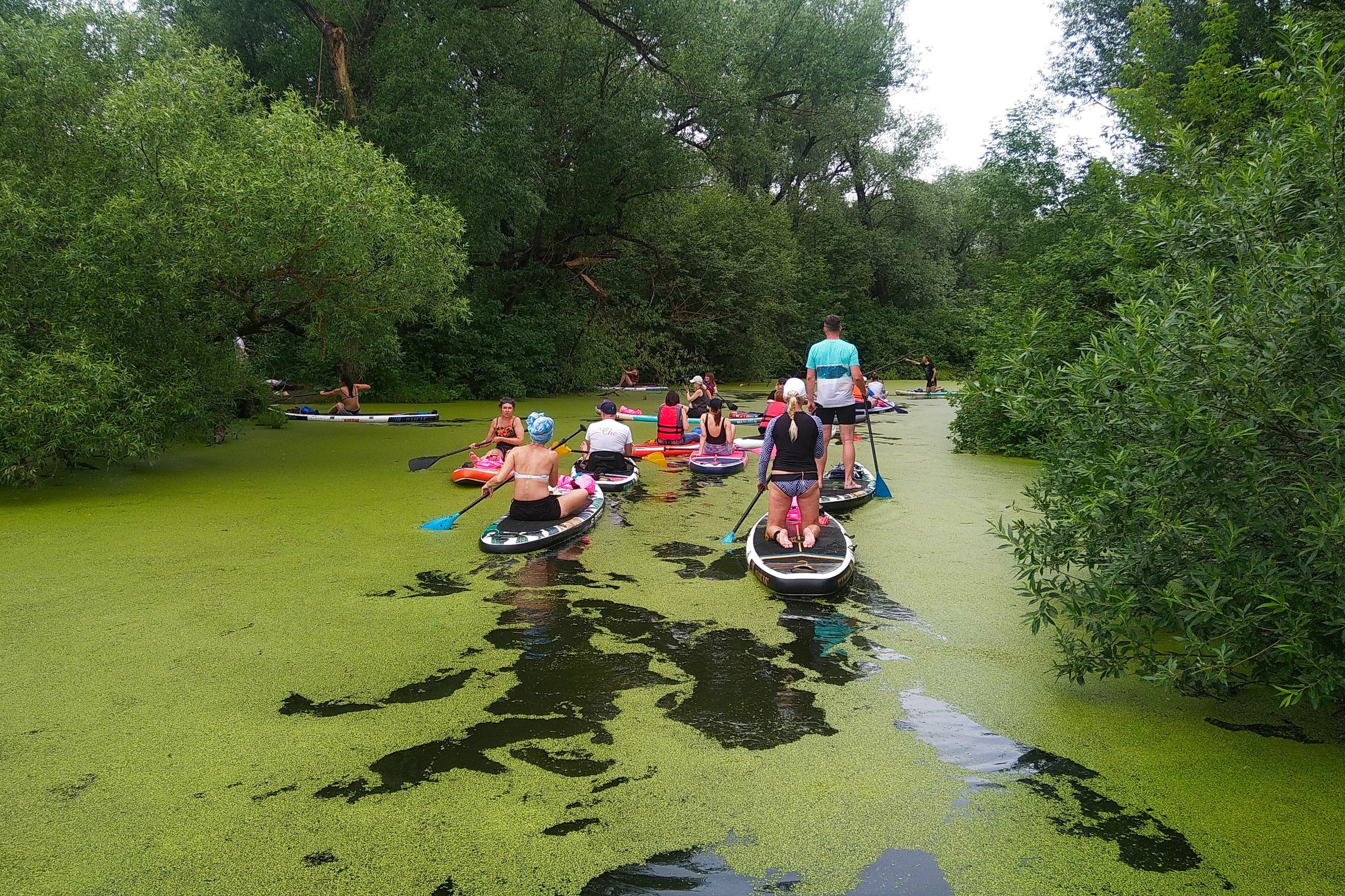 Сплав на сапах | 16.06.2024. Галерея Фантим