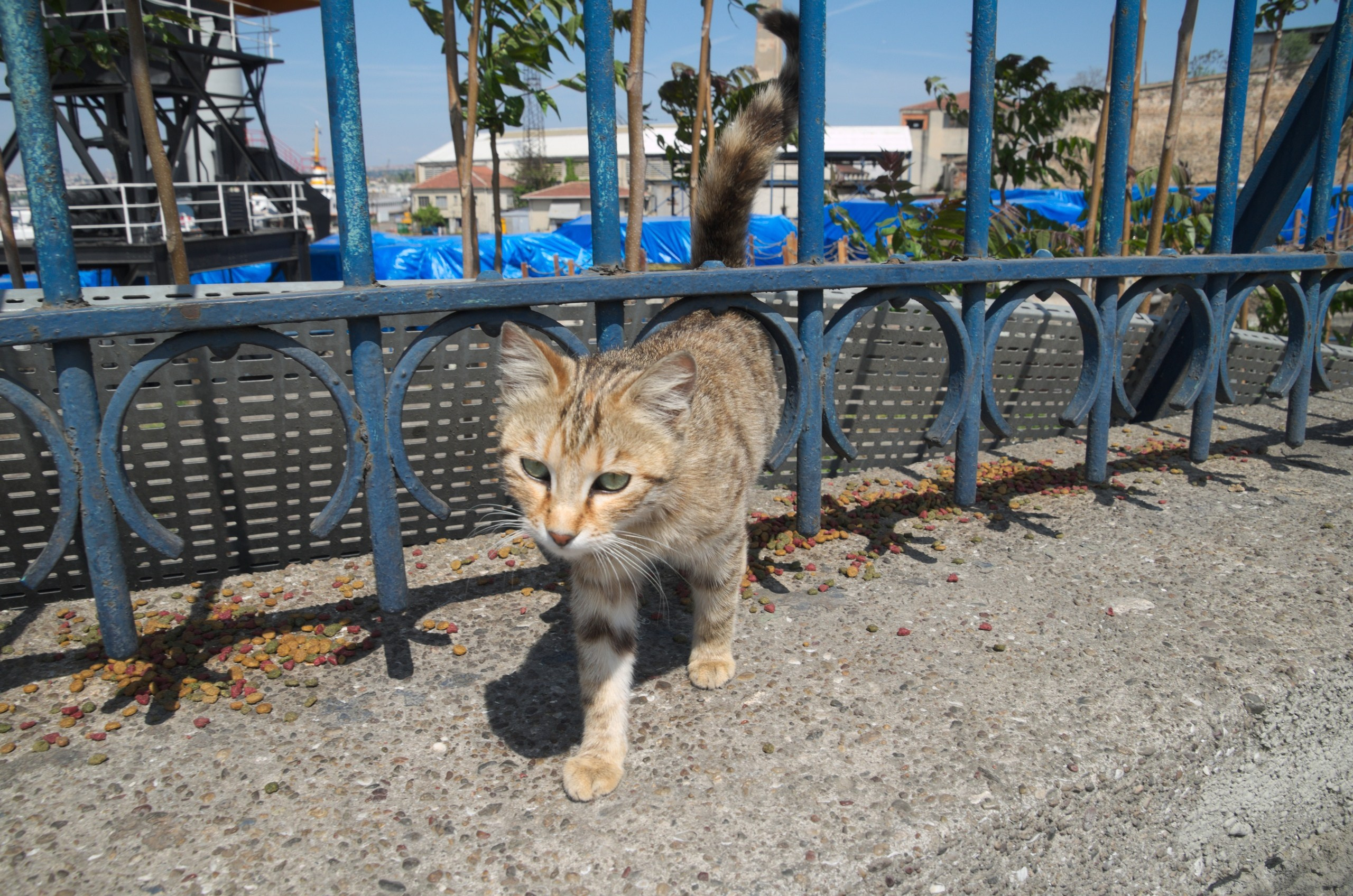 Стамбул | 01-05.05.2019. Галерея Фантим