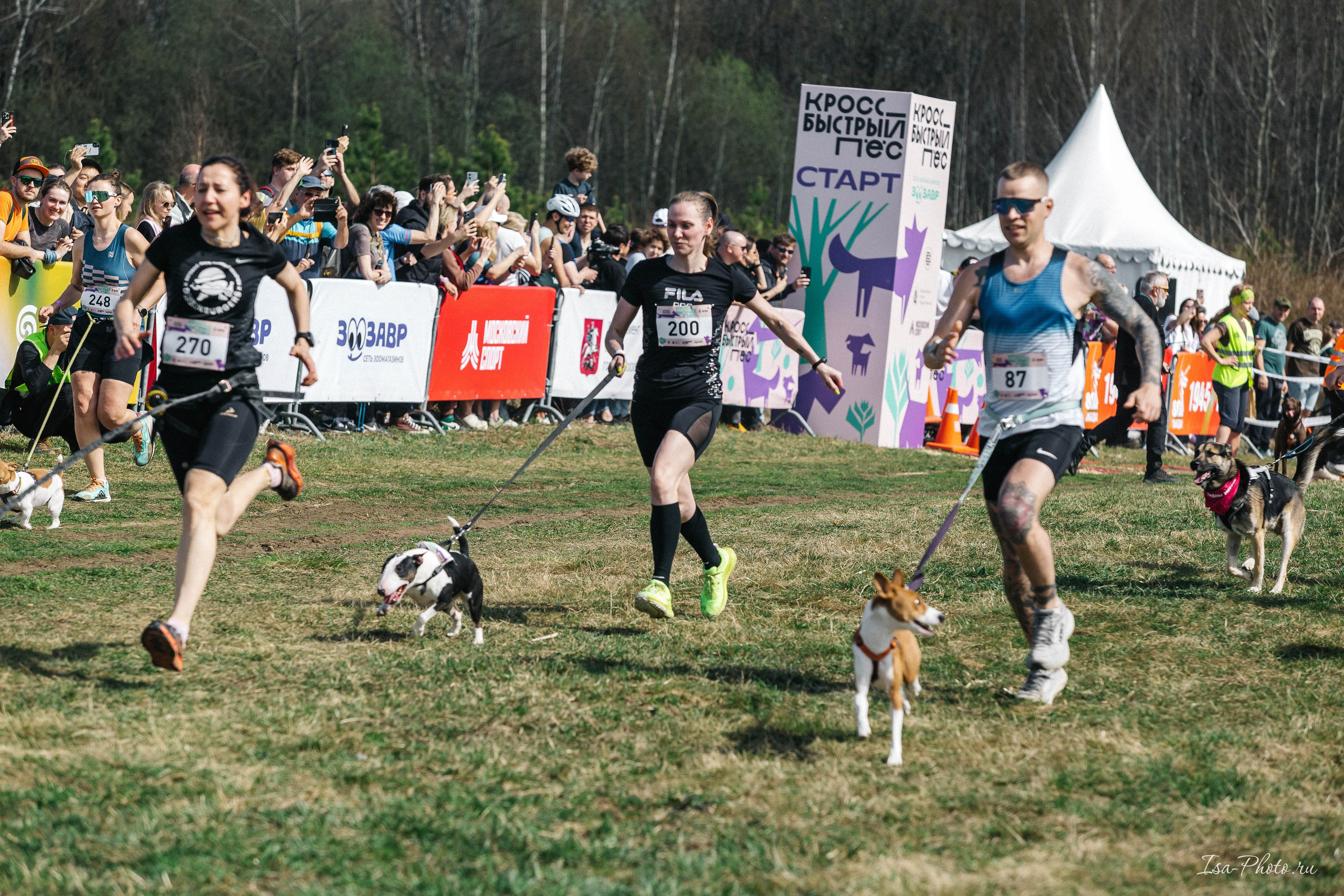 Кросс «Быстрый пёс» 2025. Репортажный фотограф в Москве