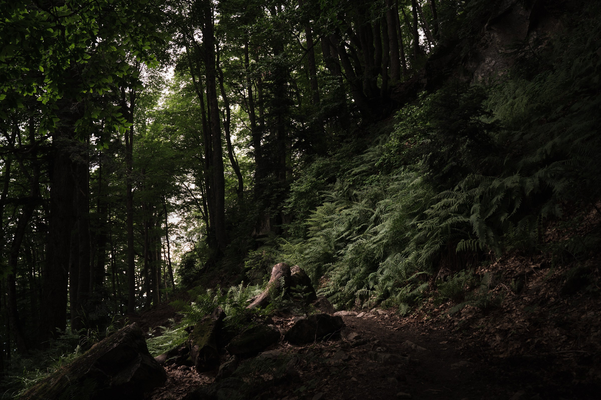 Адыгея. 30й маршрут. Фотограф в поход и восхождение на Эльбрус Игорь Косарев