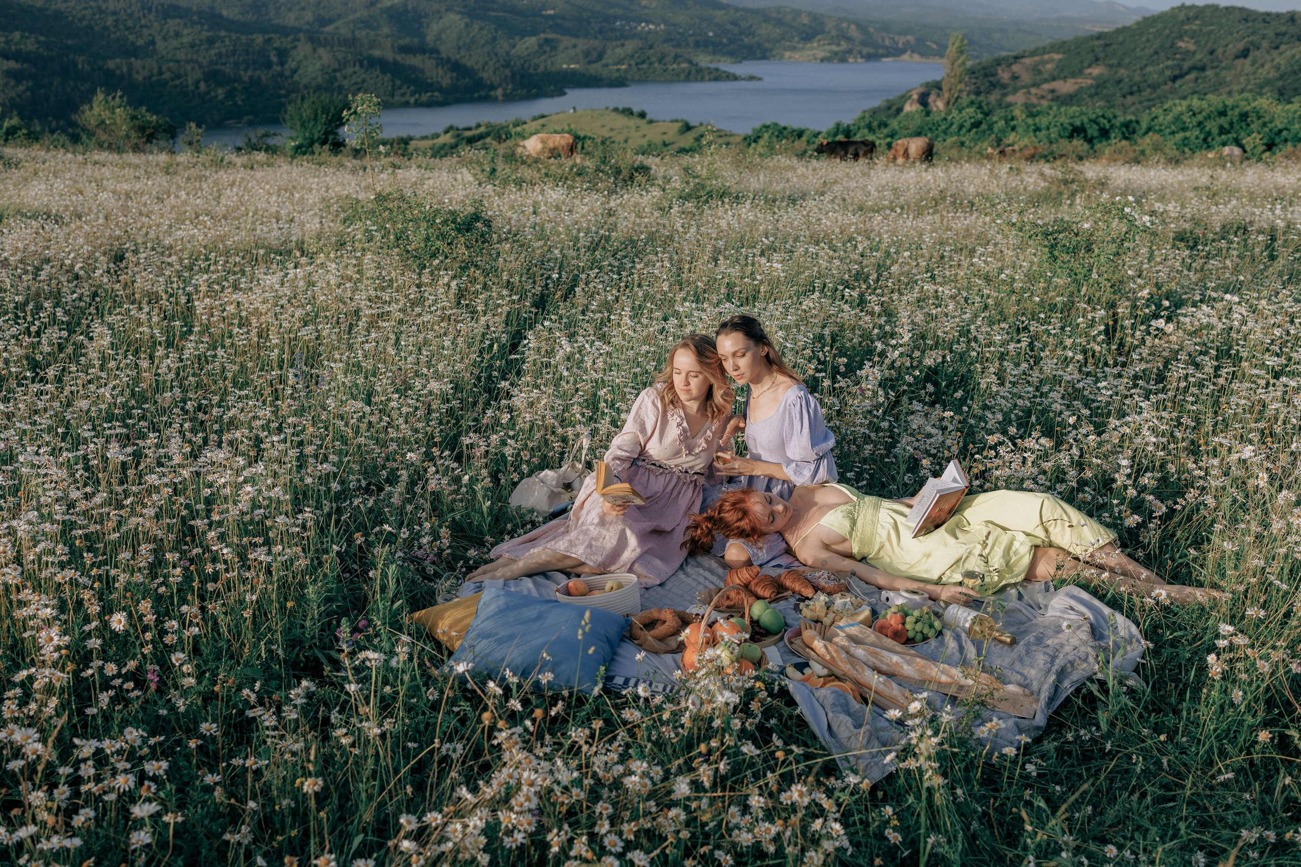 Picnic in the chamomile field in Georgia. Fedor Lemeshko — Destination Wedding and Family Lifestyle photographer