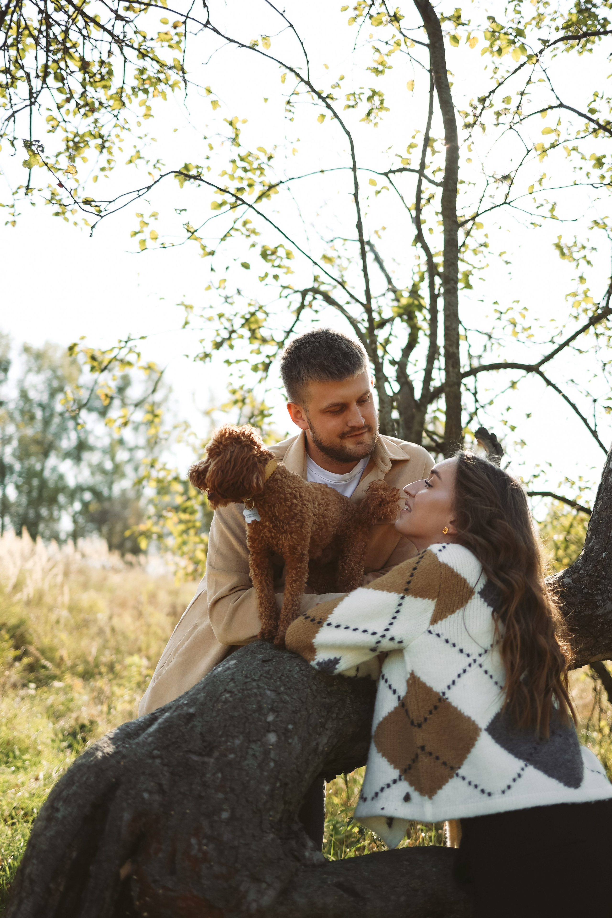 Дима, Настя и песик Тим | история любви. Фотограф в Нижнем Новгороде Креава Ира