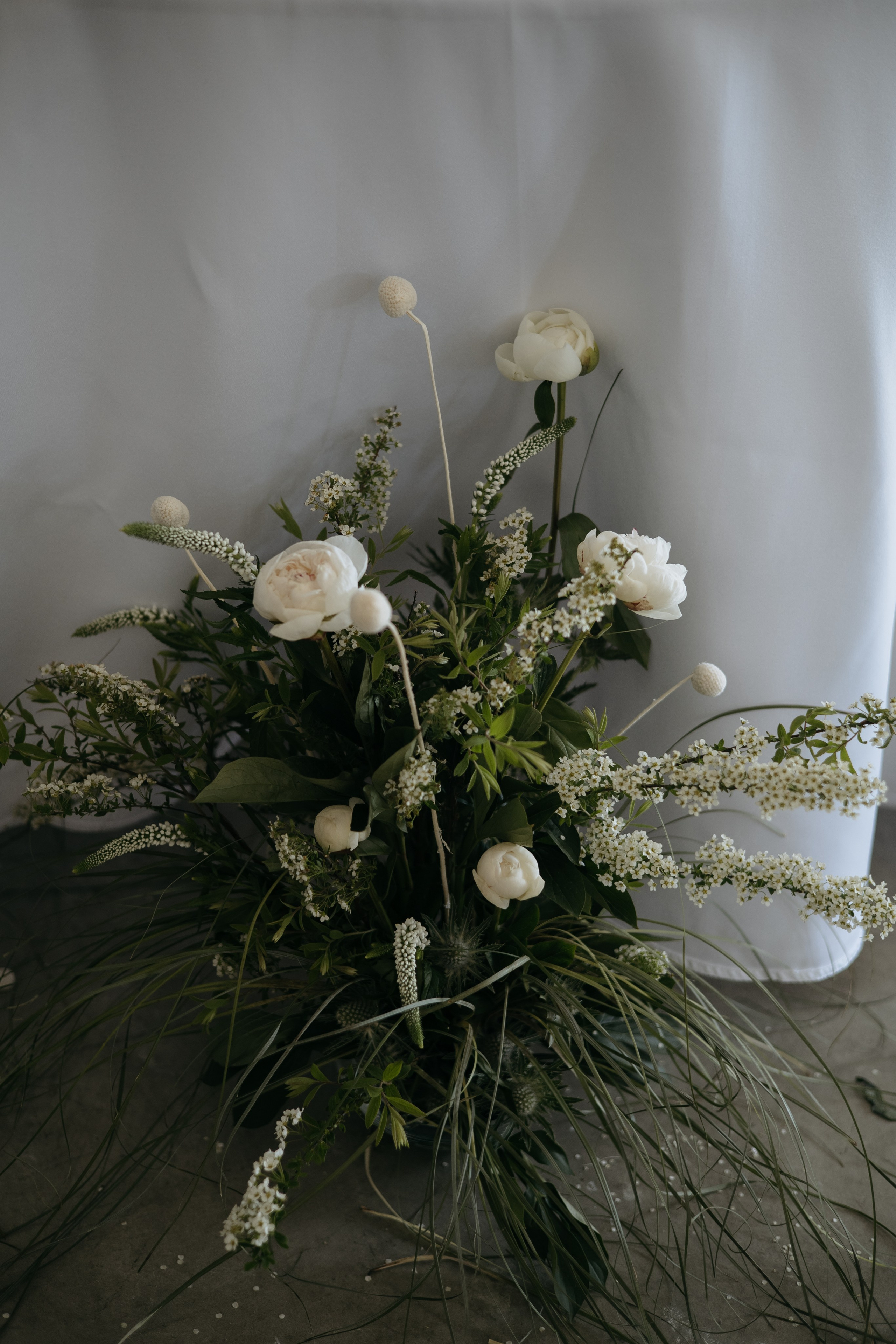 Е+В. Фотограф Элла Ефимова